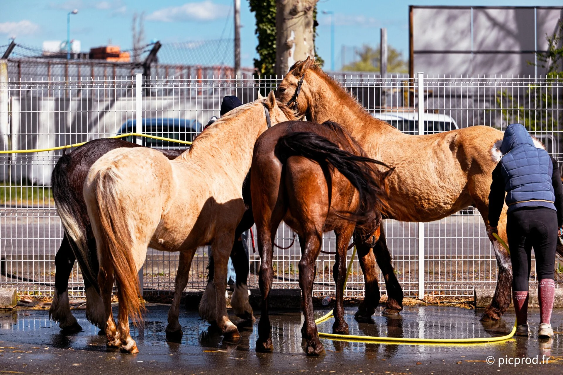 DSC_0370_DxO.jpg