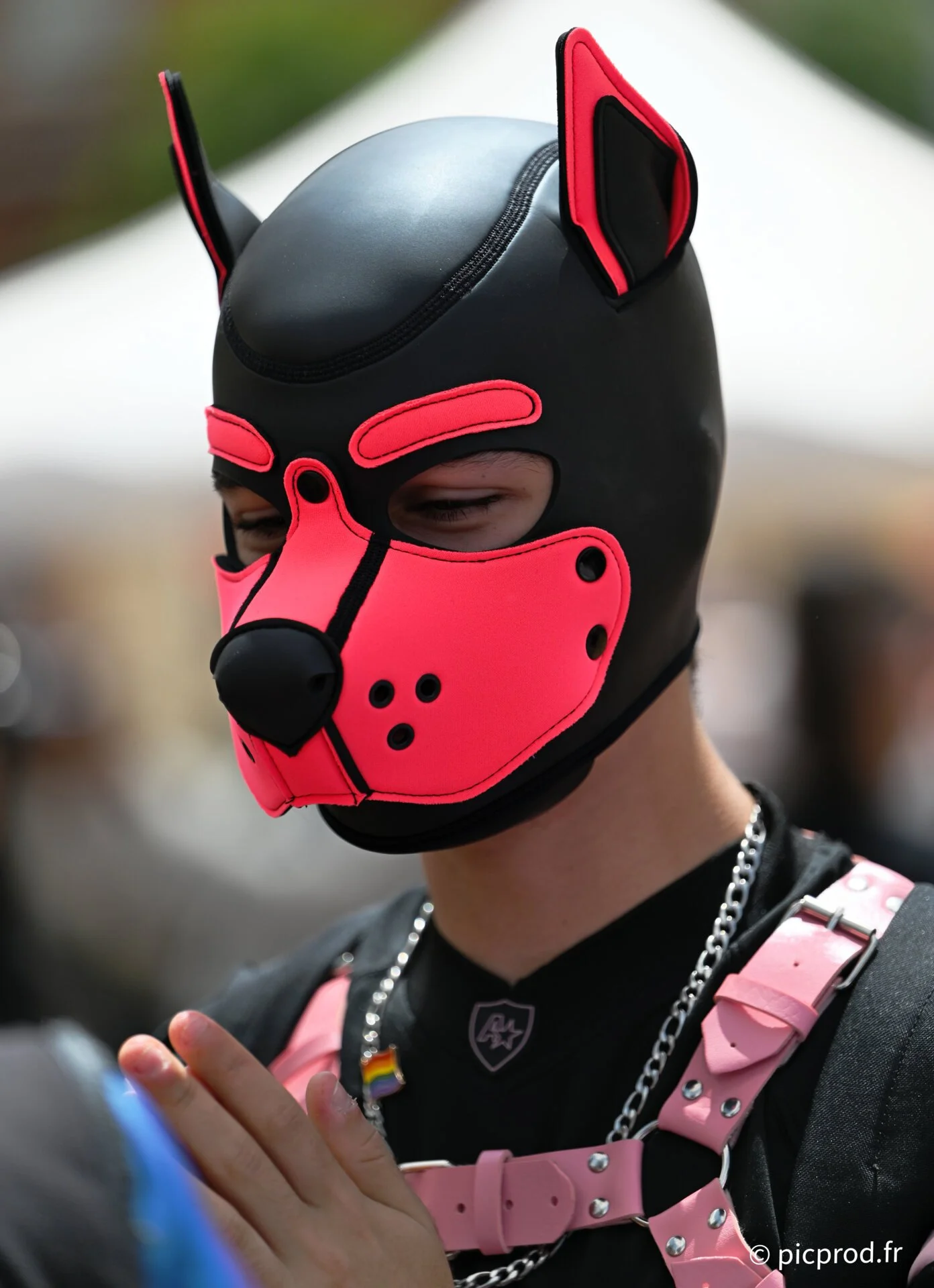 DSC_7520_DxO.jpg