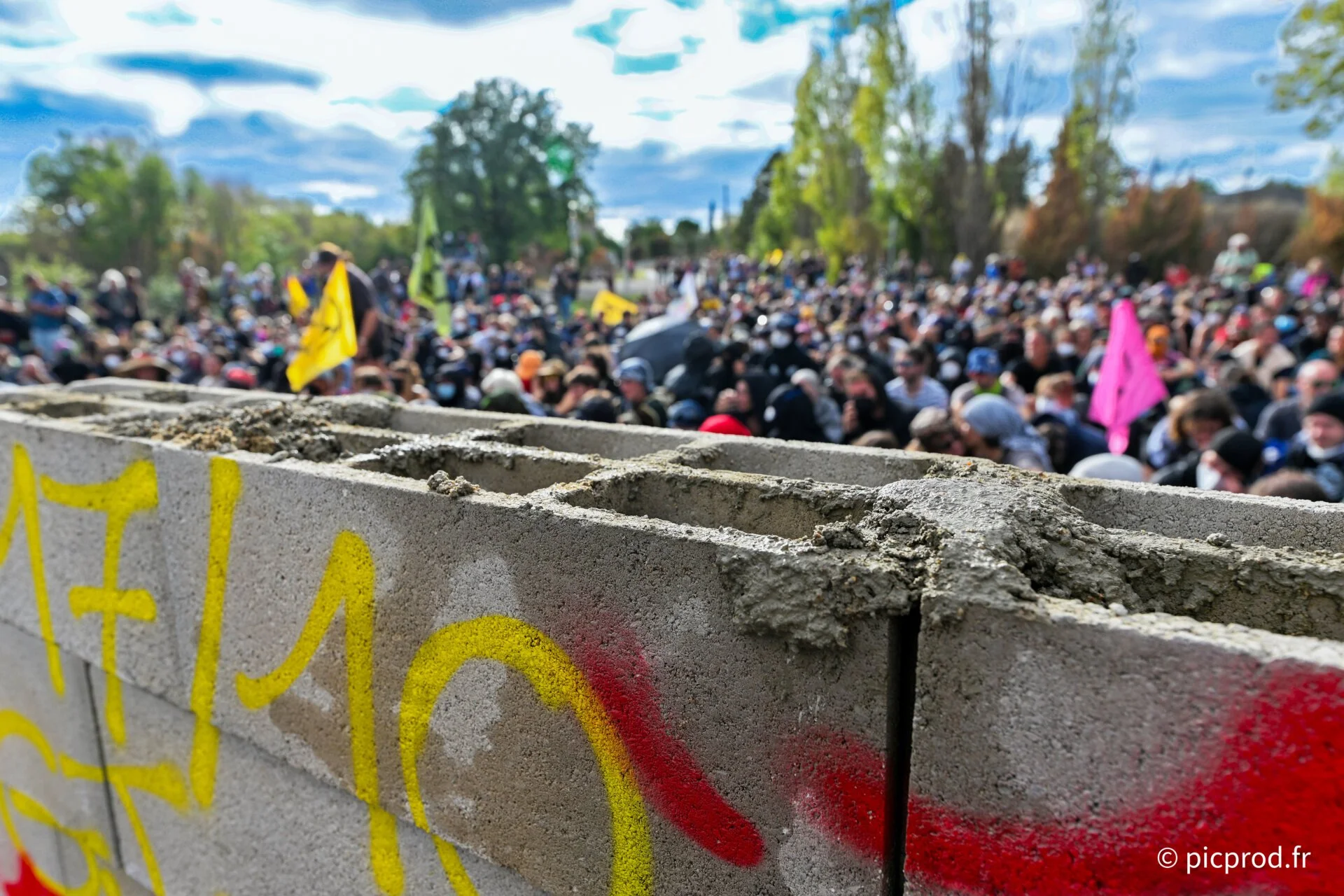 DSC_2965_DxO.jpg