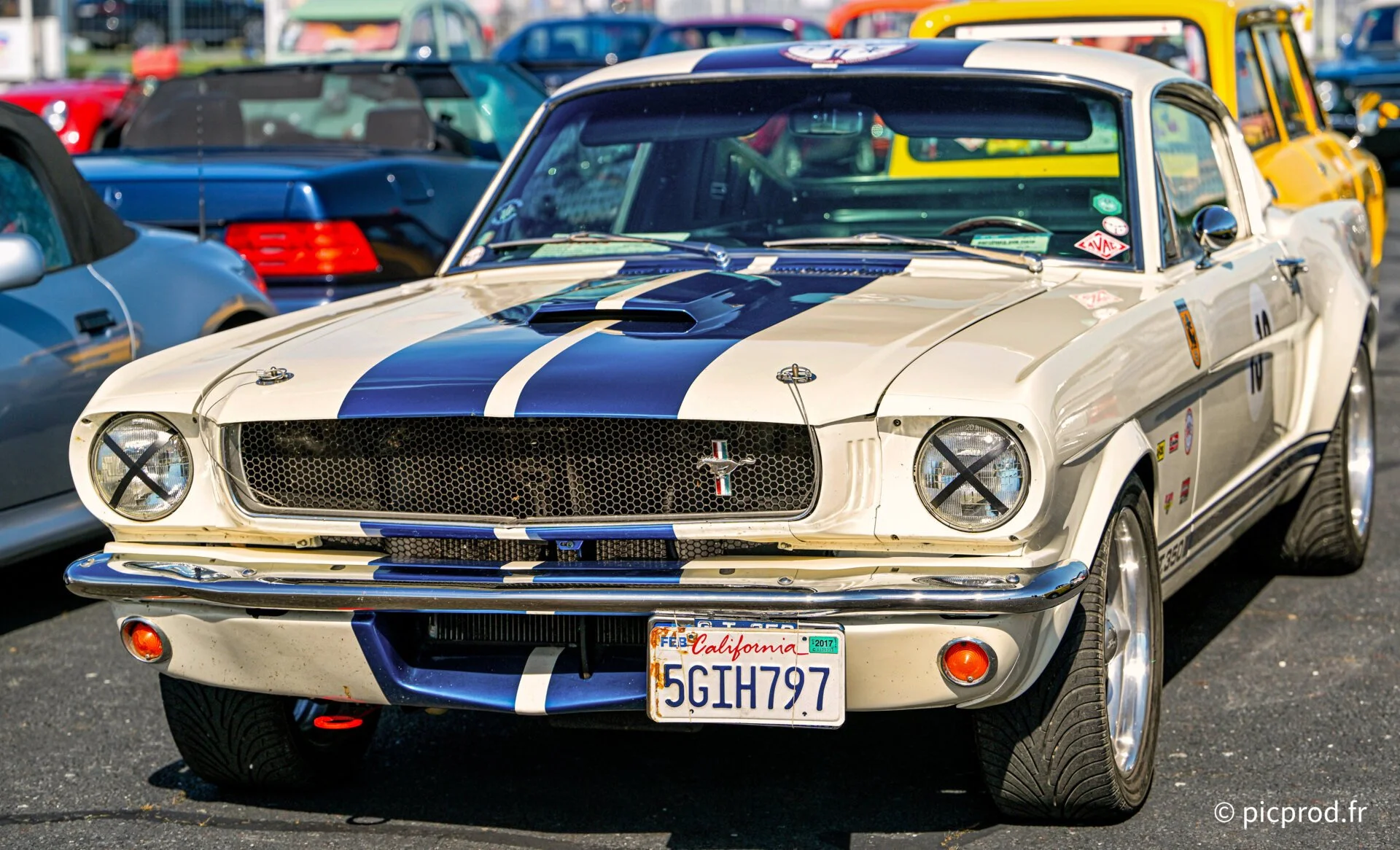 DSC_4973_DxO.jpg