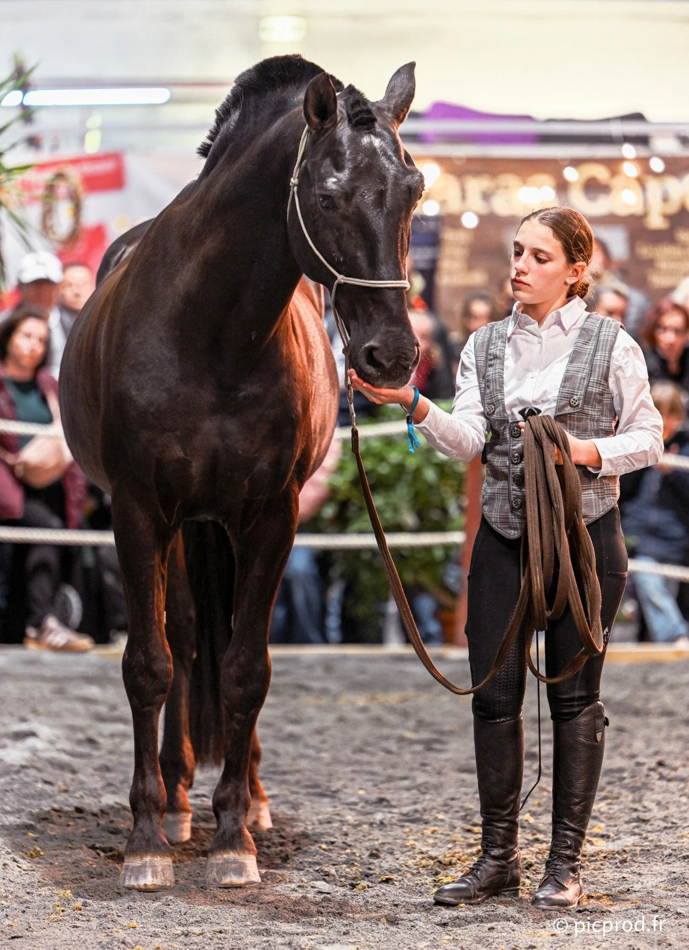 DSC_1485_DxO.jpg