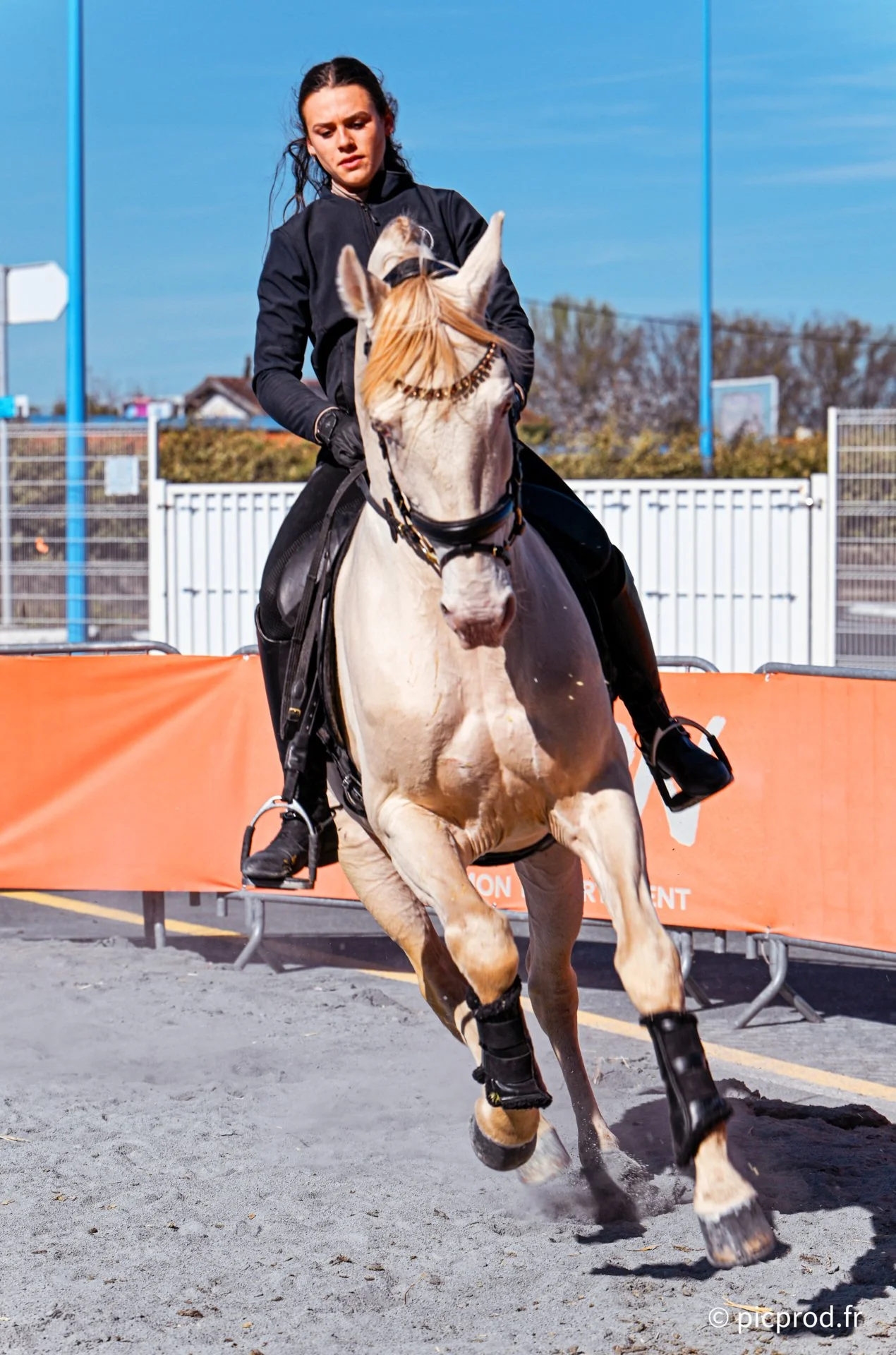 DSC_0461_DxO.jpg