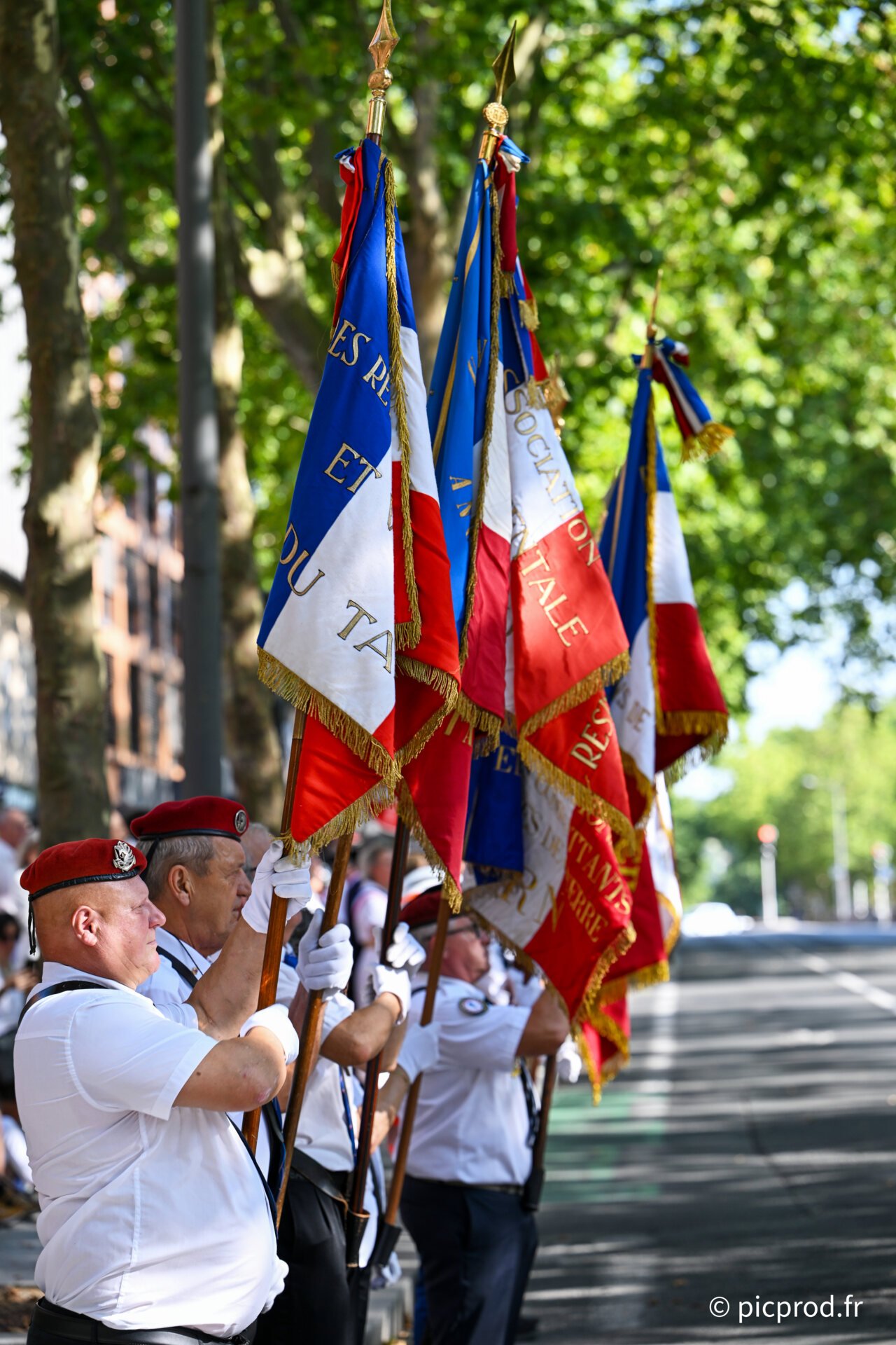 DSC_1433.jpg