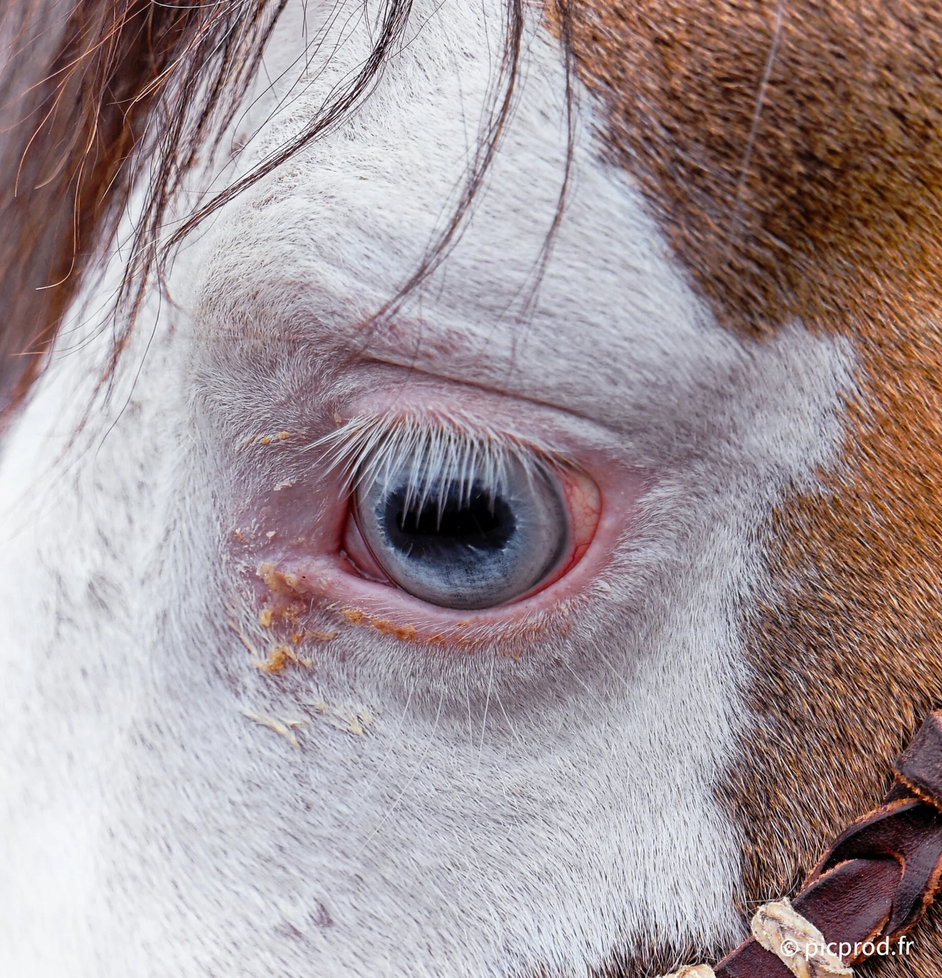 DSC_0770_DxO.jpg