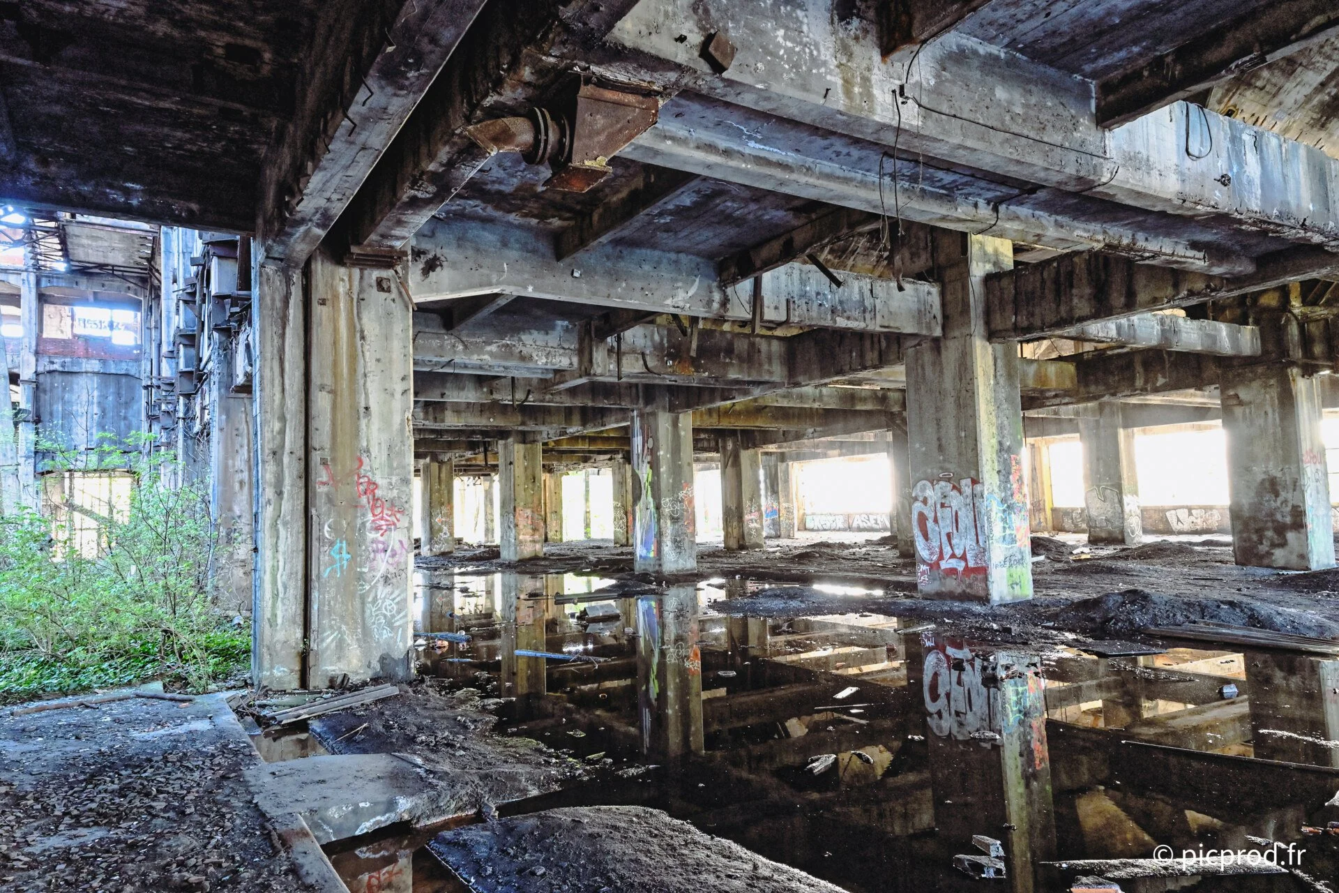 DSC_9731_DxO.jpg