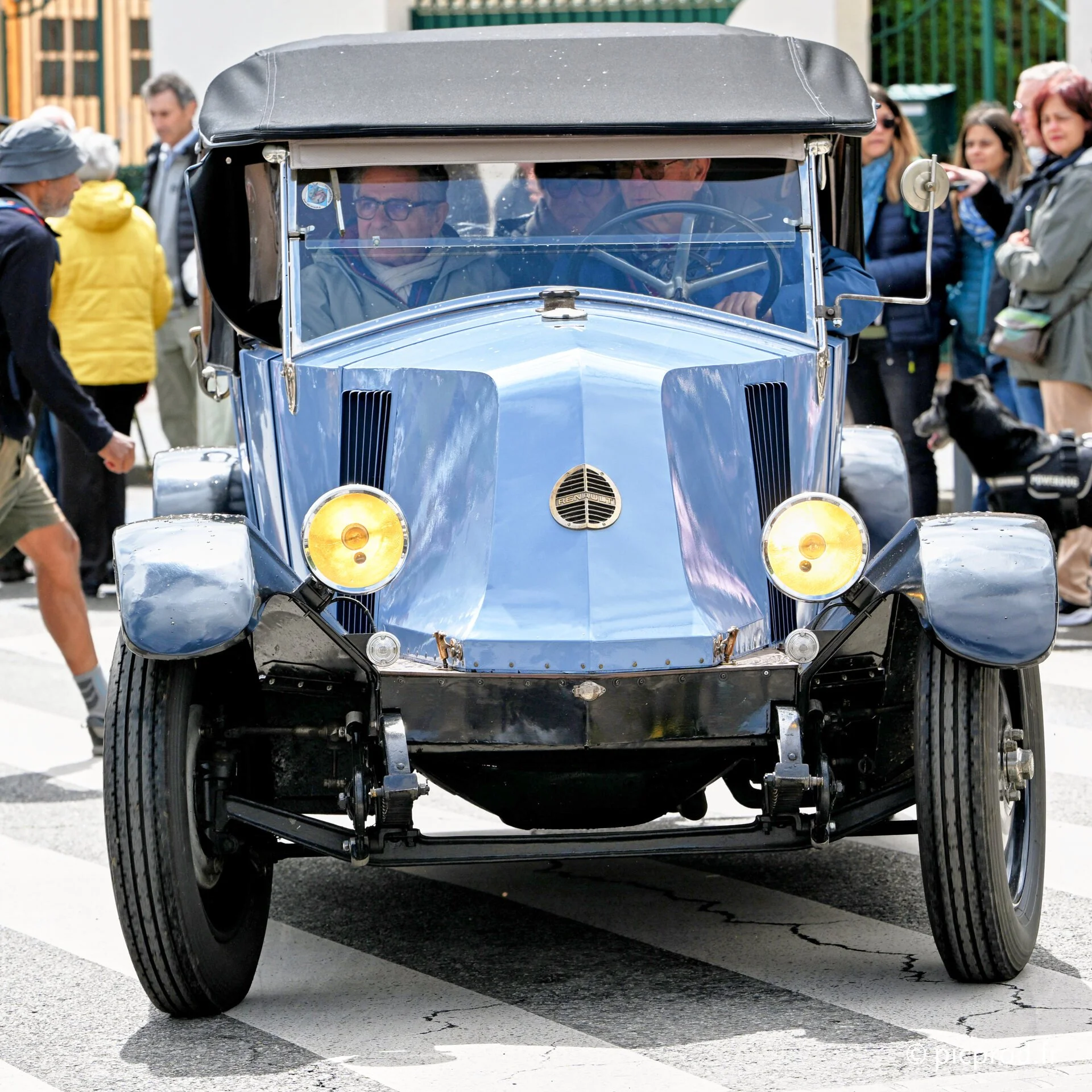 DSC_5294.jpg