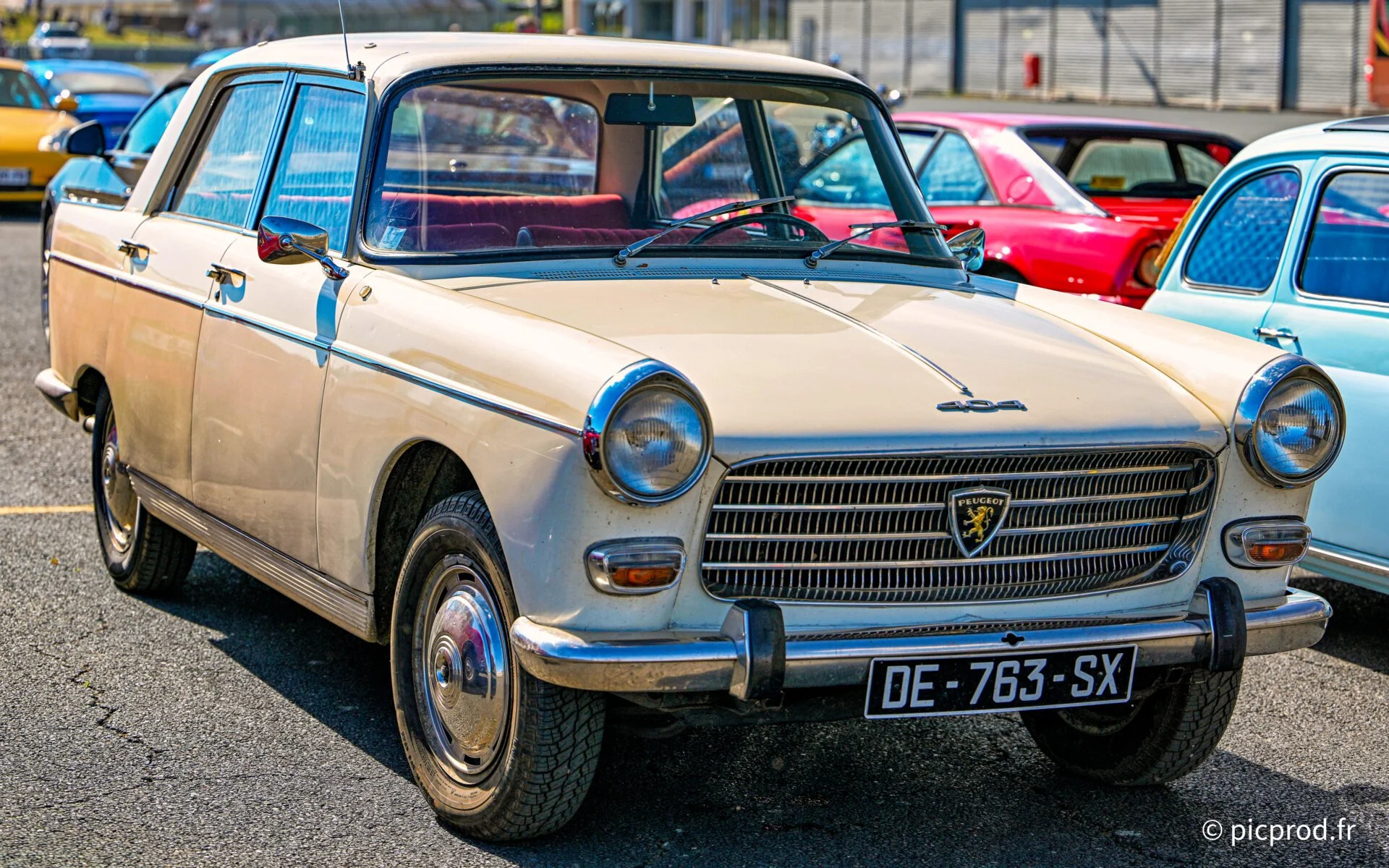DSC_4931_DxO.jpg