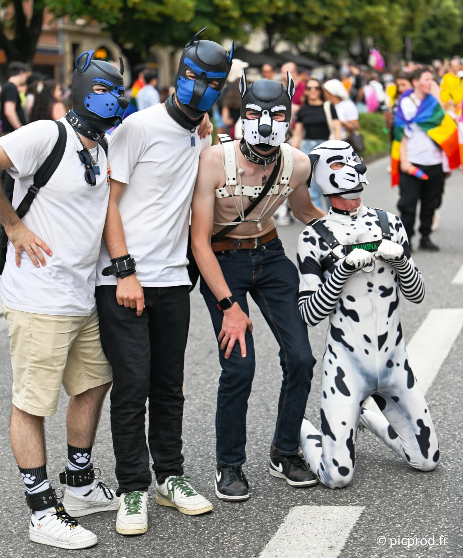 DSC_7872_DxO.jpg