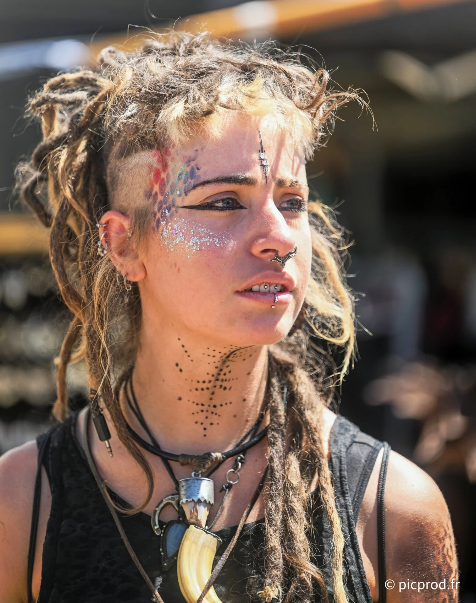La foire extraordinaire, Padiès, 2026