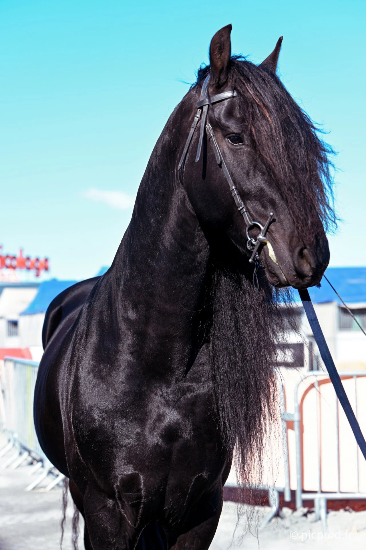 DSC_0101_DxO.jpg