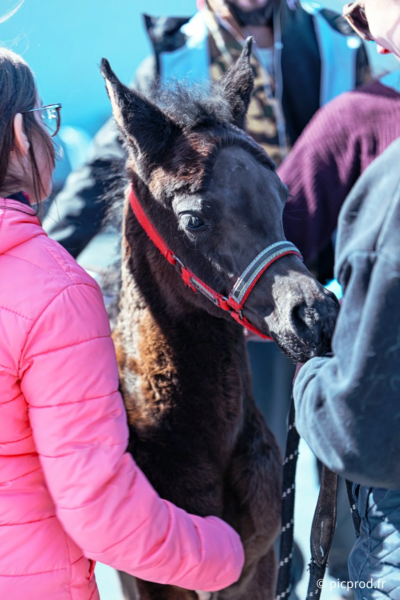 DSC_0320_DxO.jpg