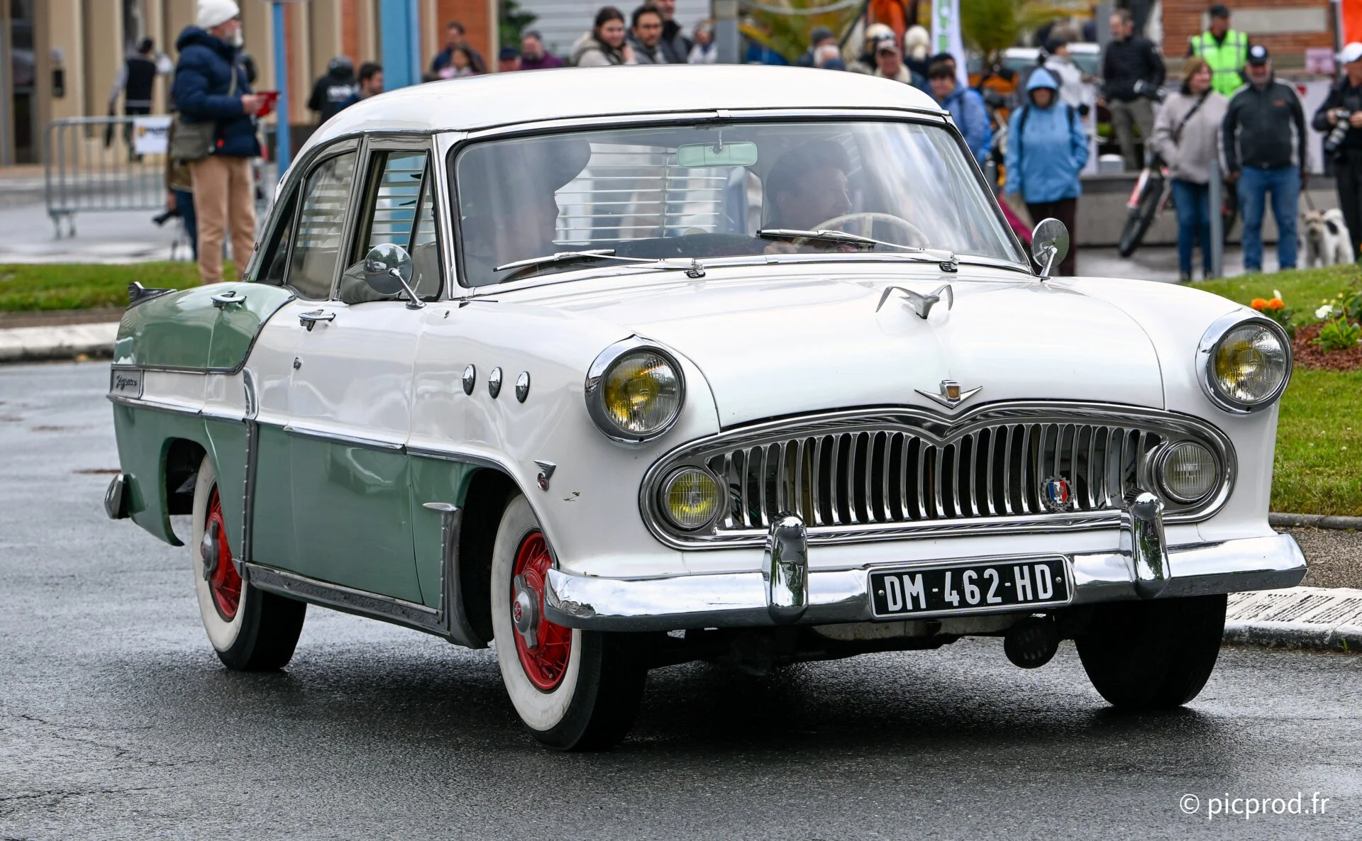 DSC_5004.jpg