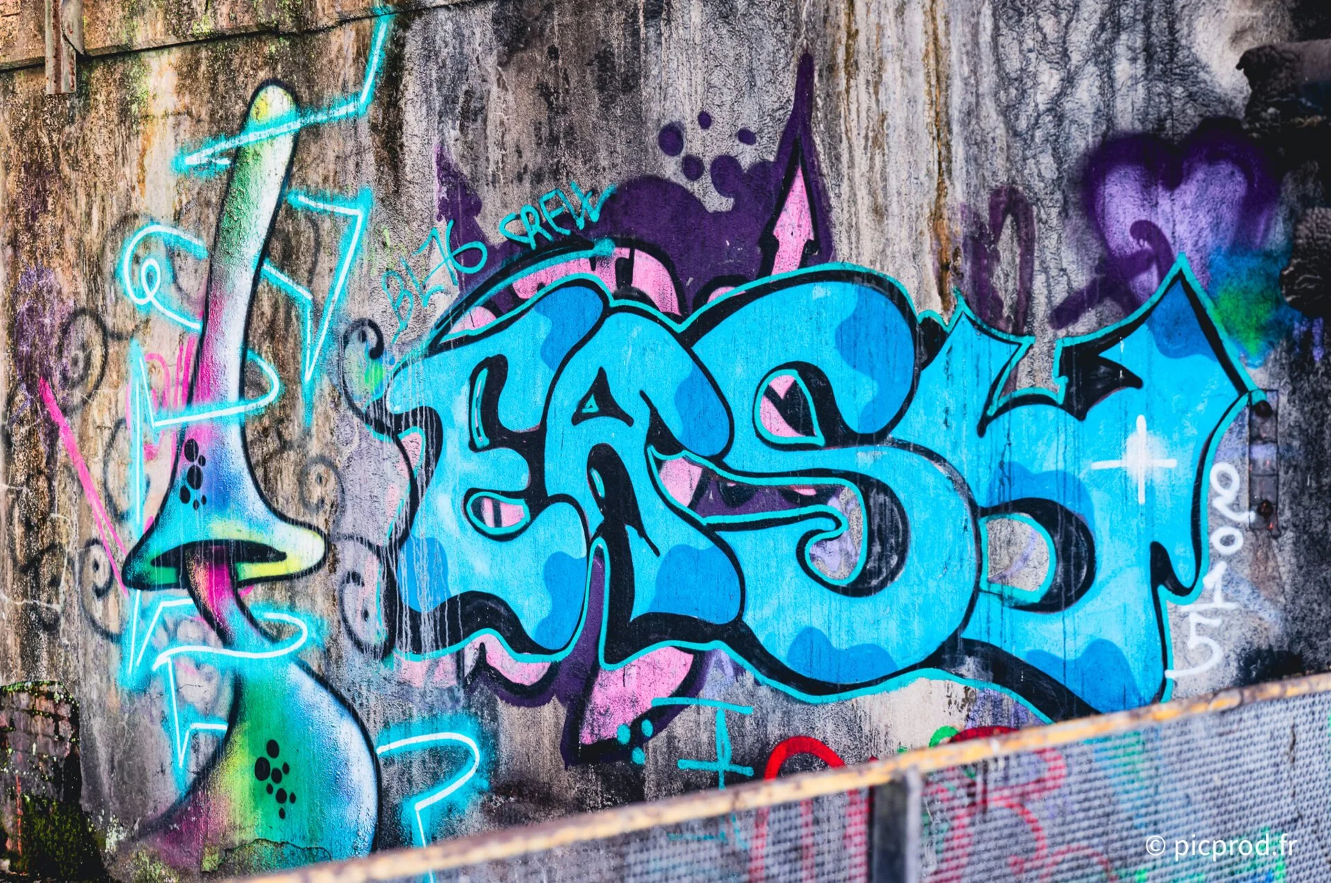 B0000394_DxO.jpg