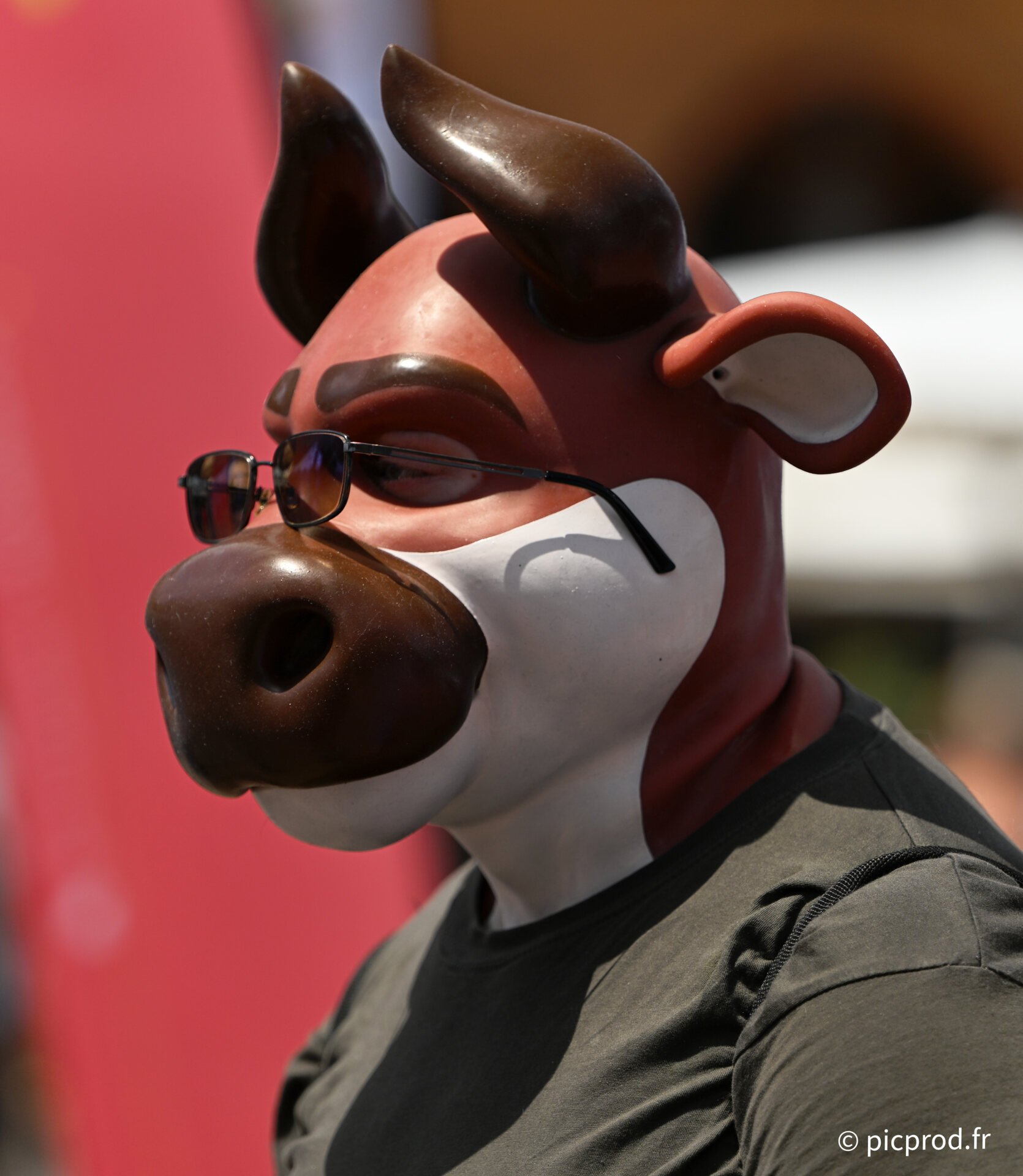 DSC_7548_DxO.jpg
