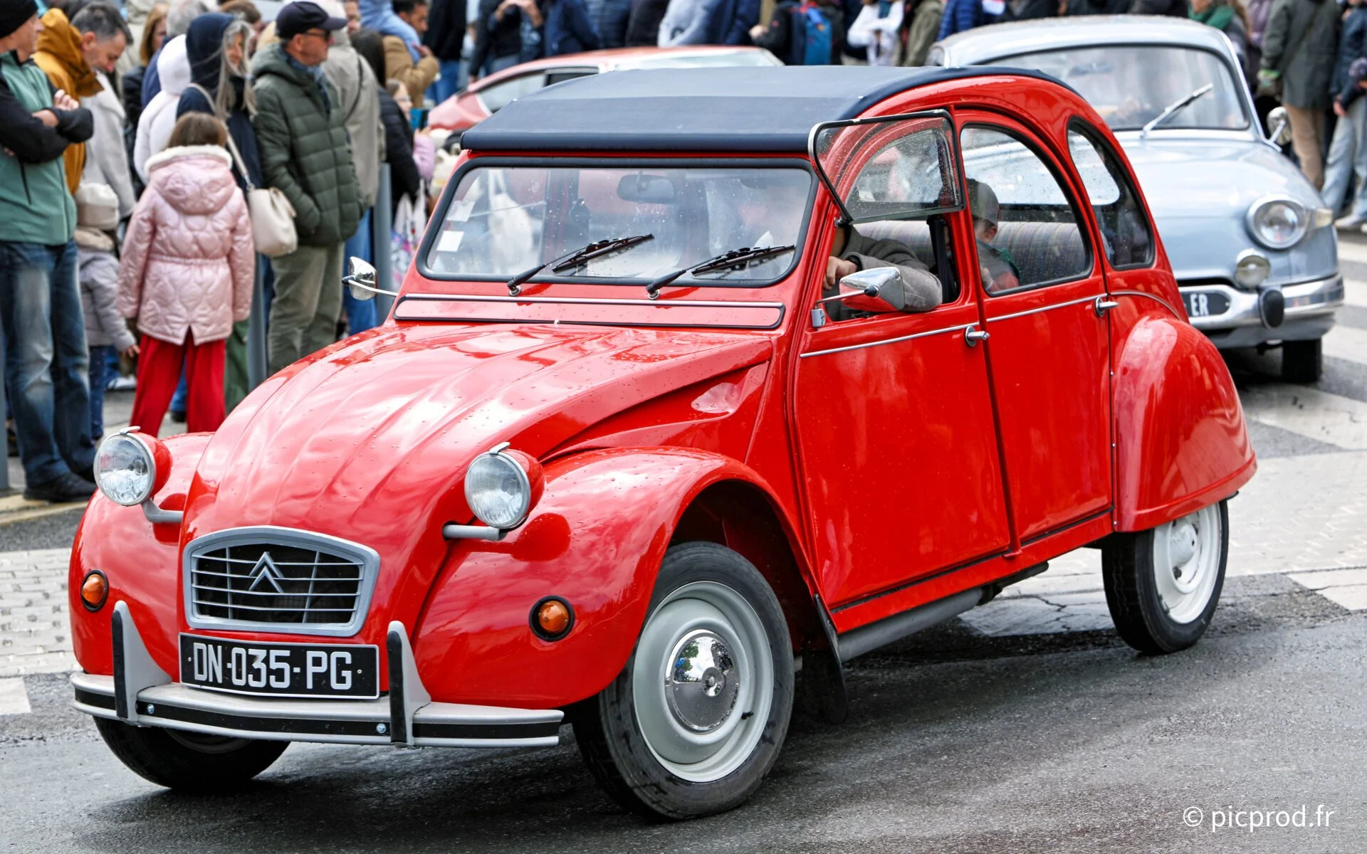 DSC_5146.jpg
