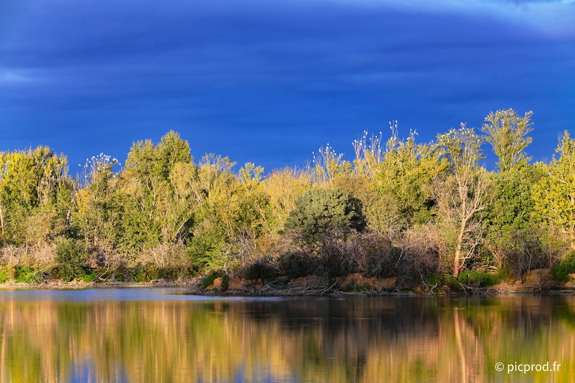 DSC_6394_DxO.jpg