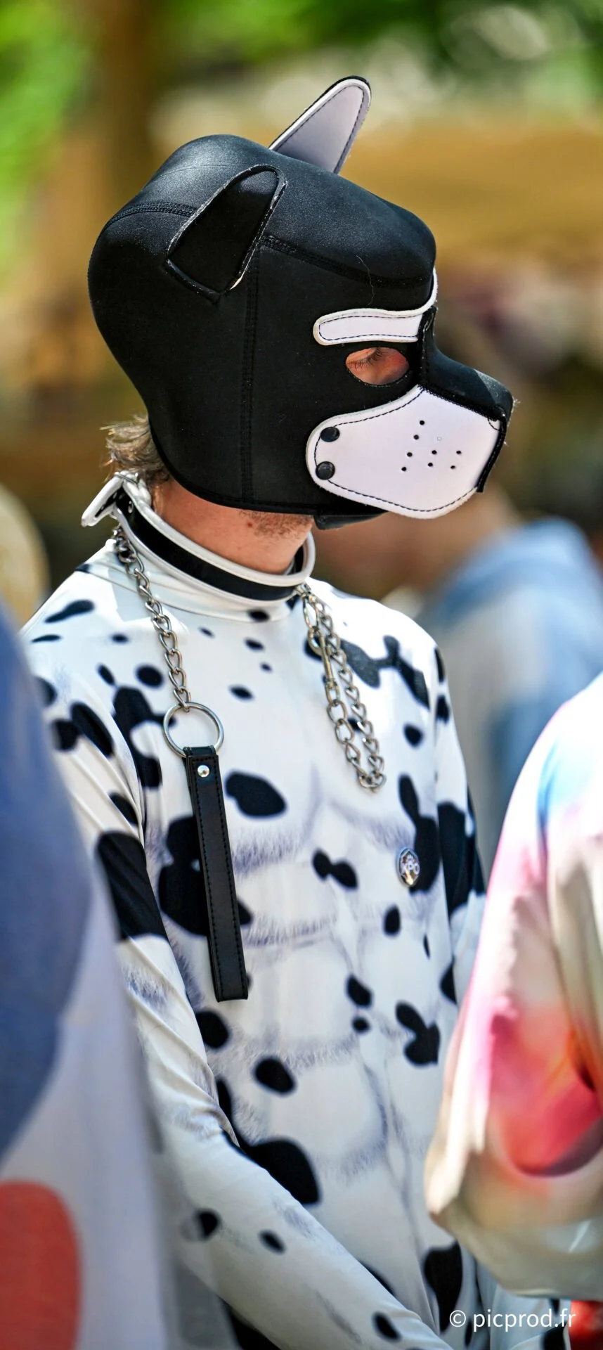 DSC_6787.jpg