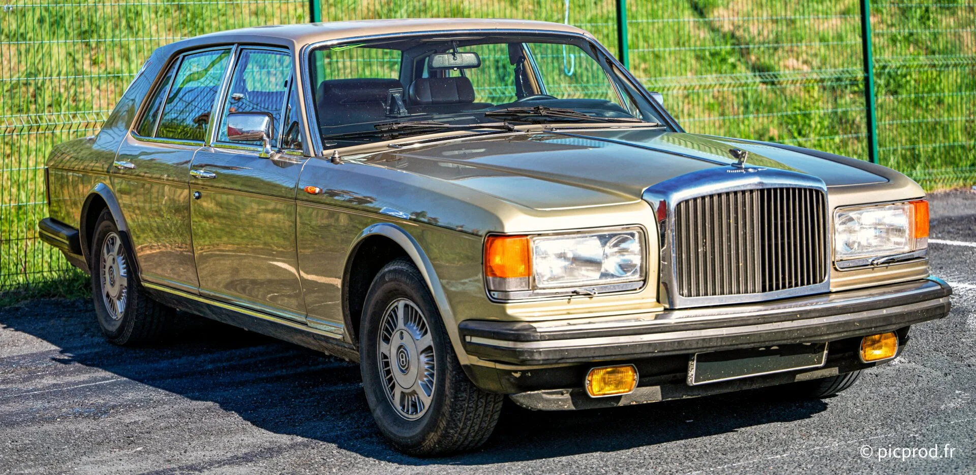 DSC_4990_DxO.jpg