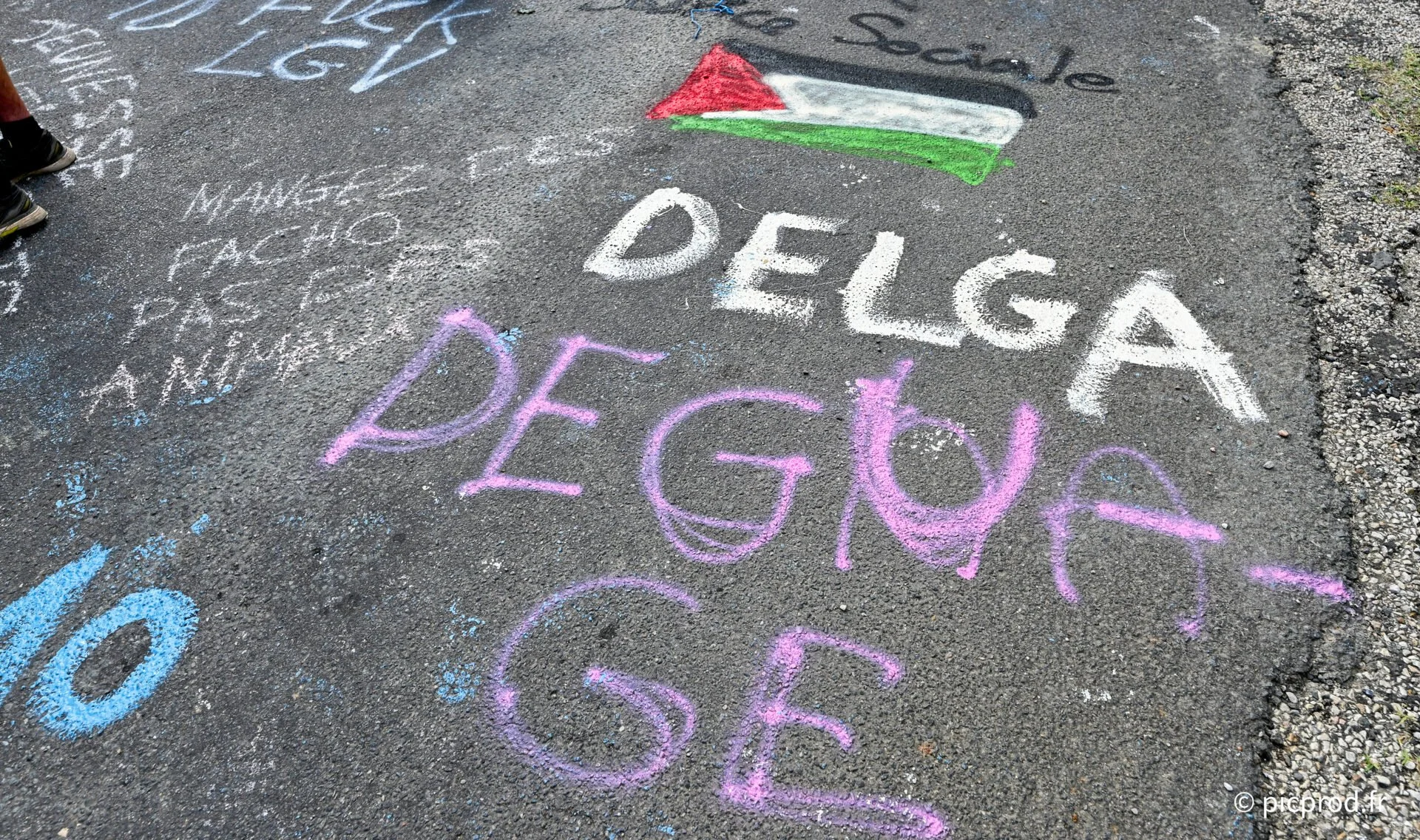 DSC_2935_DxO.jpg