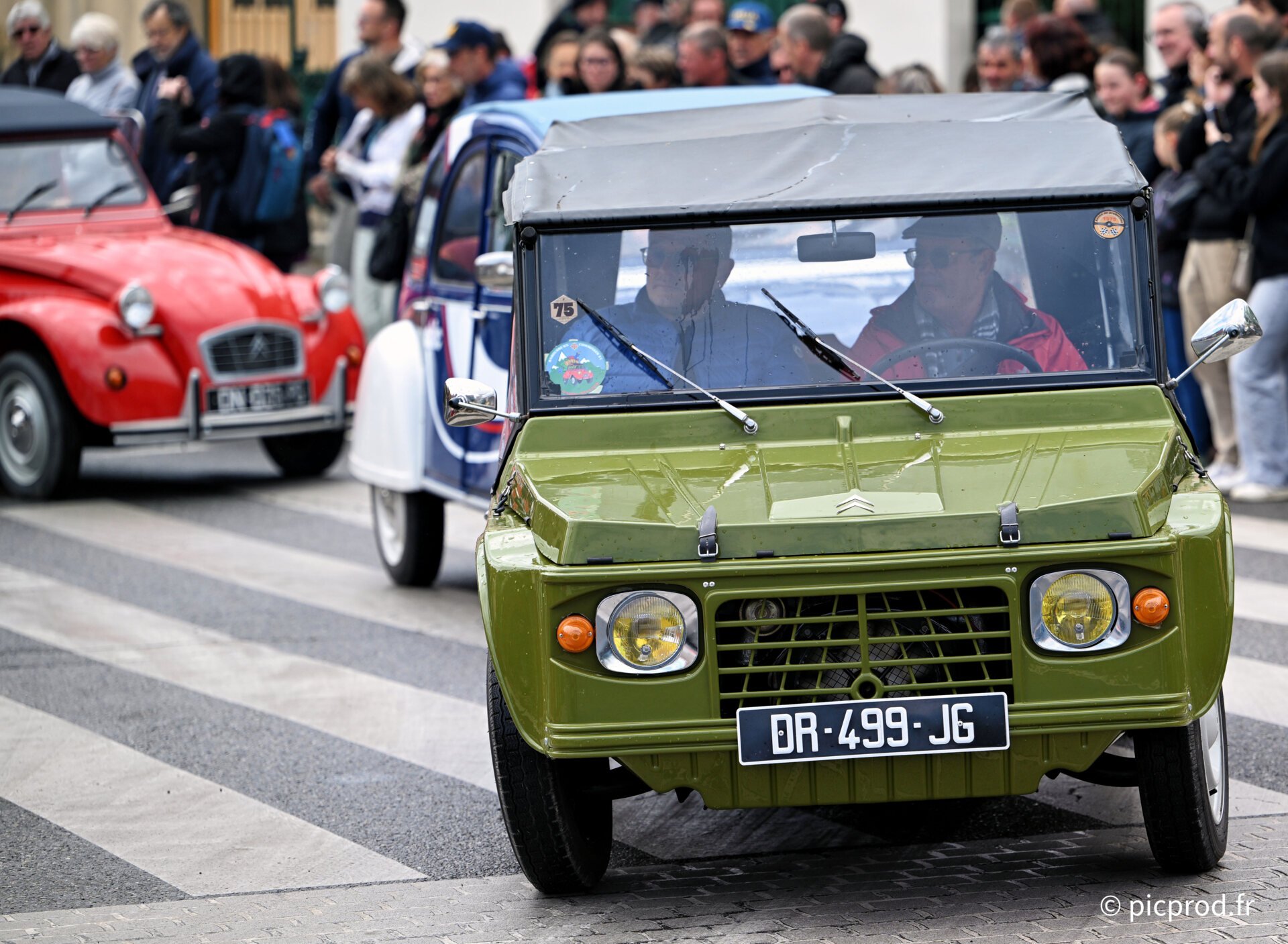 DSC_5142.jpg