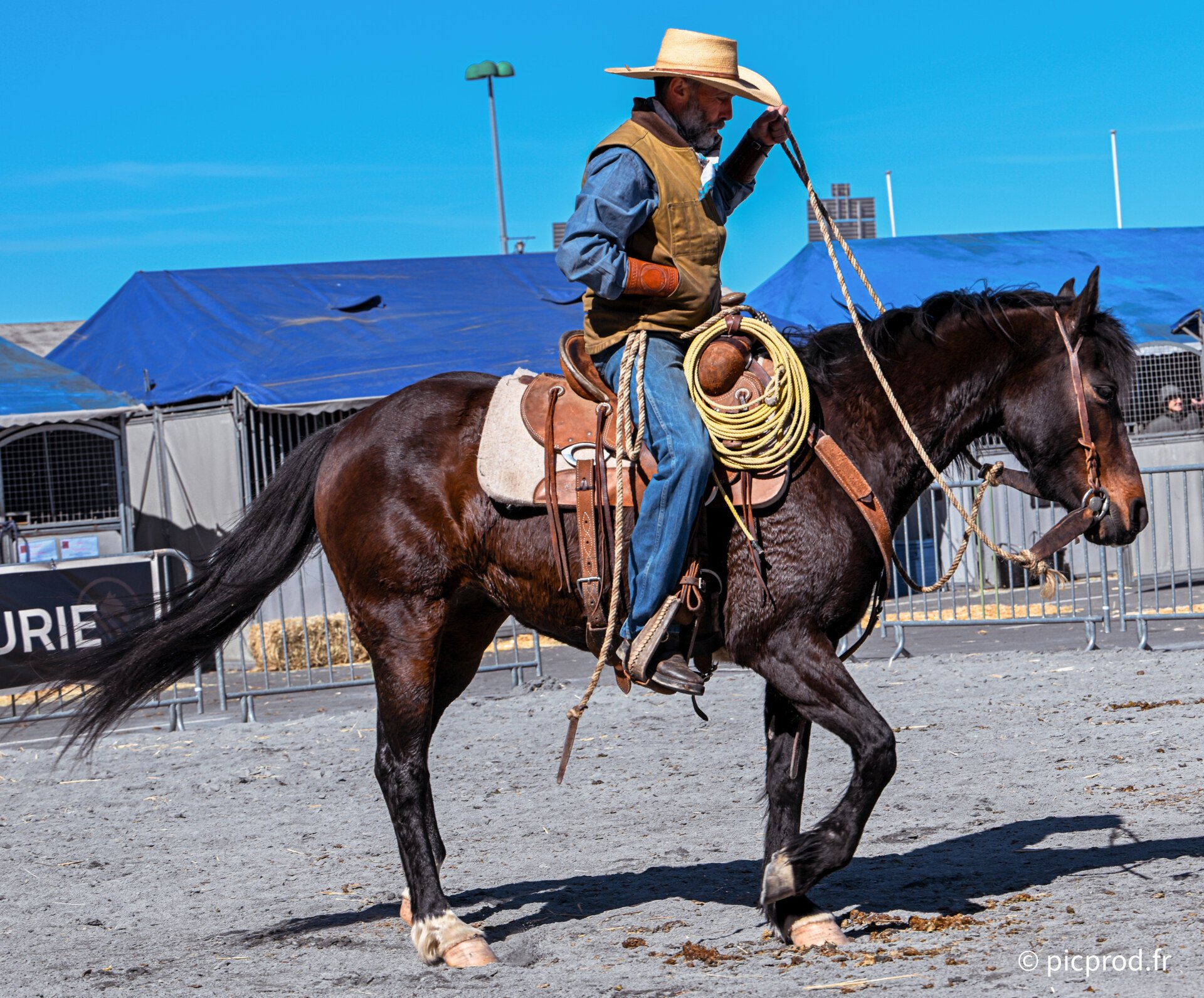 DSC_0211_DxO.jpg