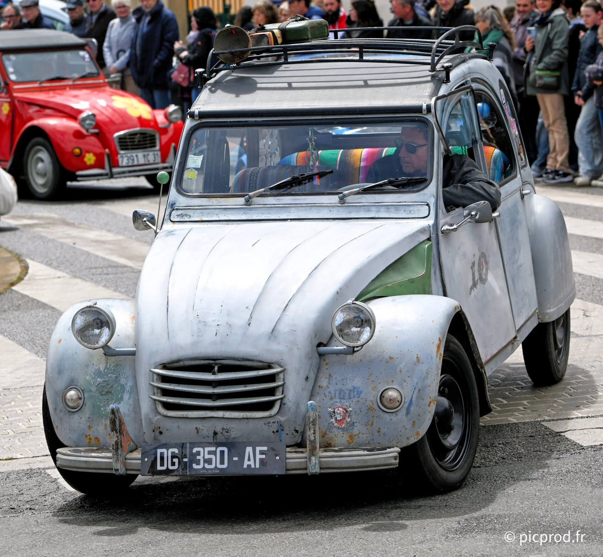 DSC_5155.jpg