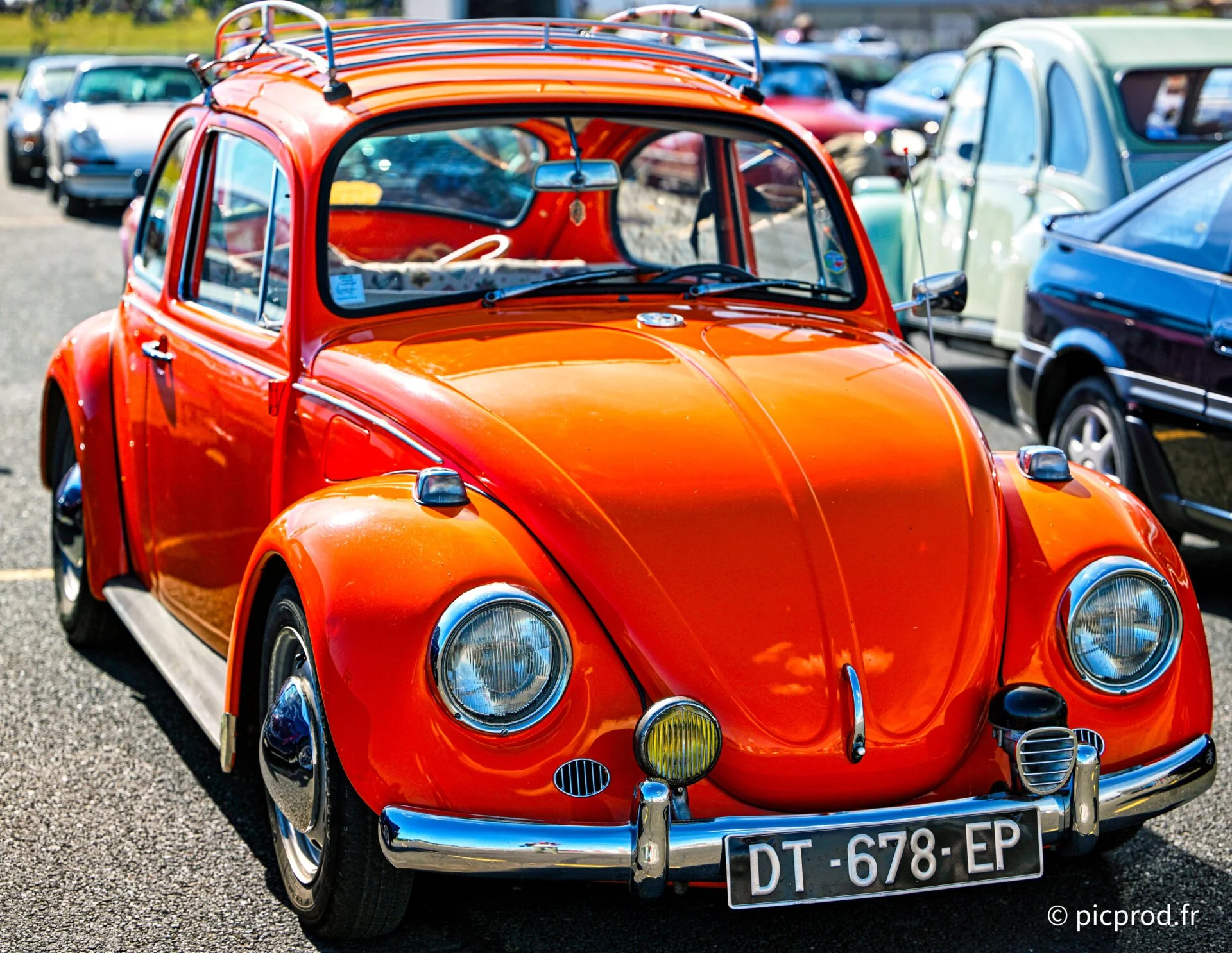 DSC_4934_DxO.jpg