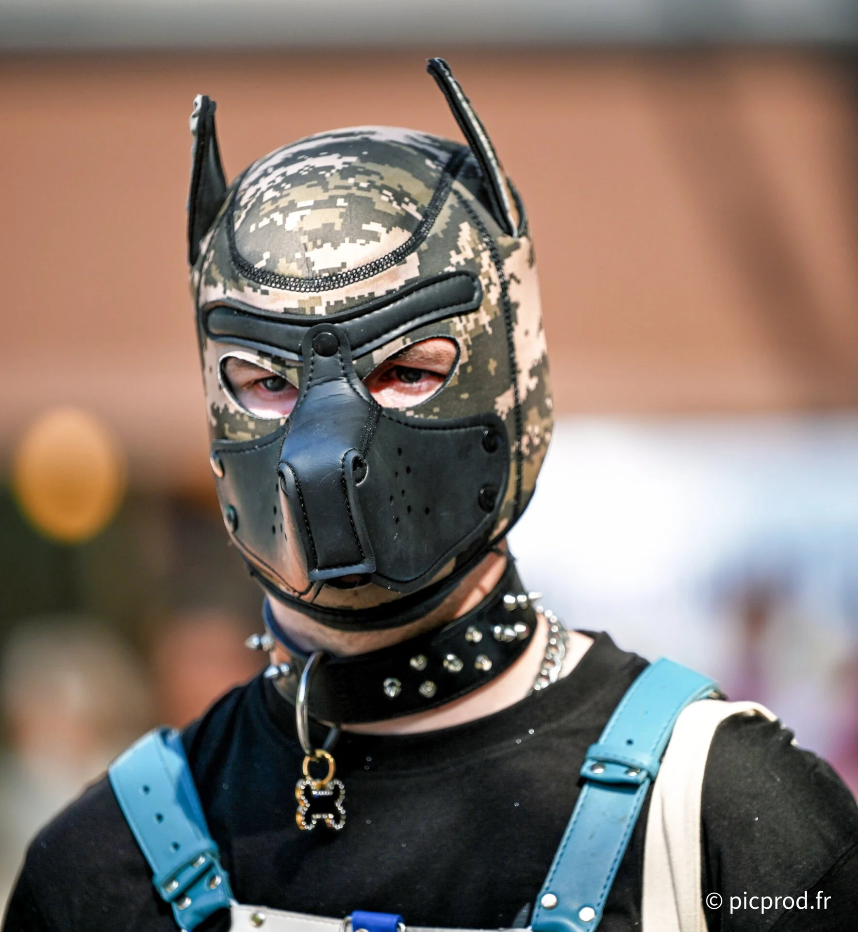 DSC_7025.jpg
