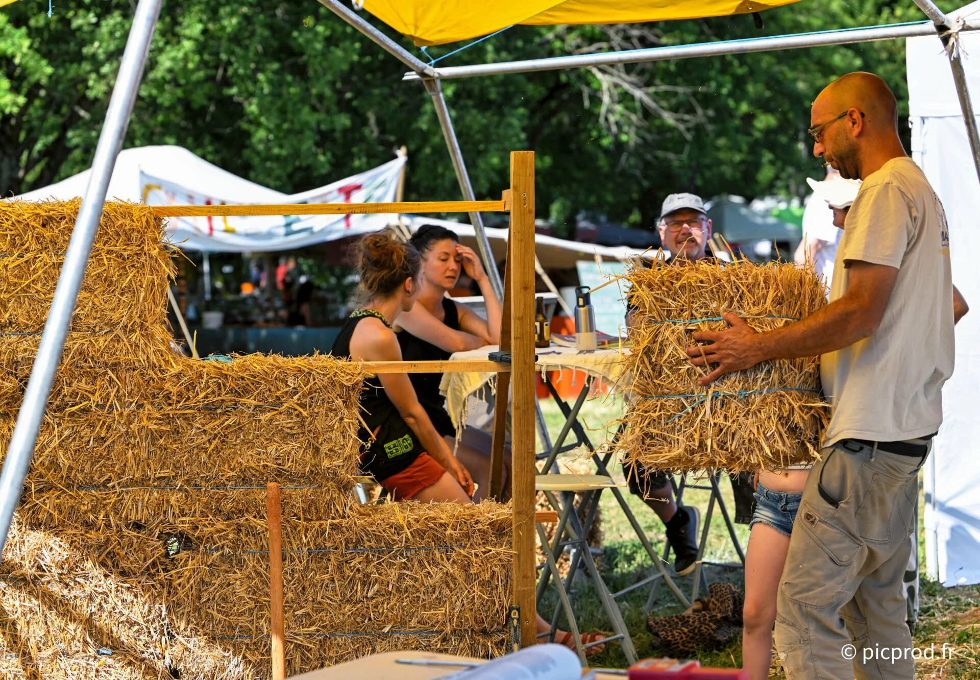 DSC_6650_DxO.jpg