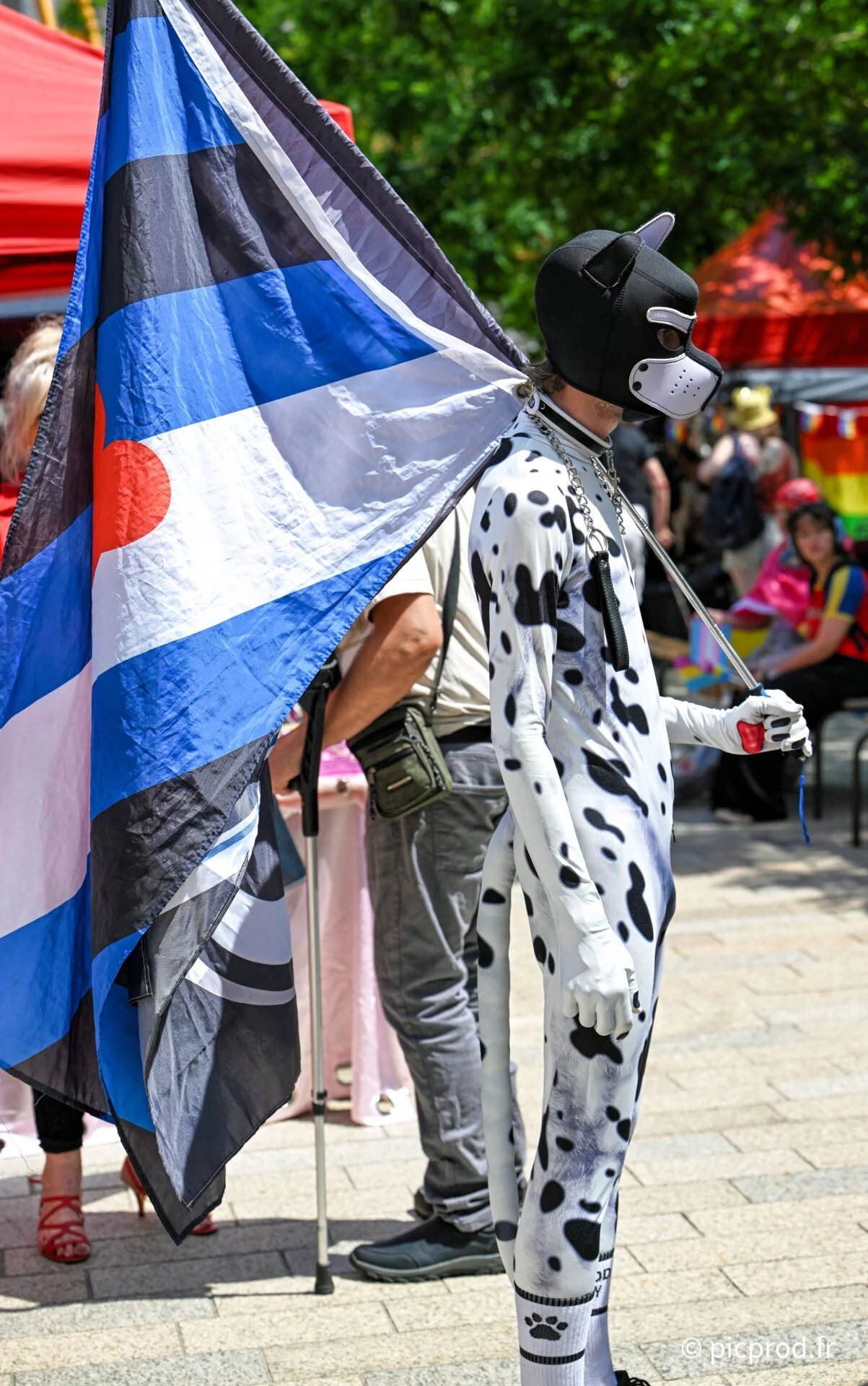 DSC_6845.jpg