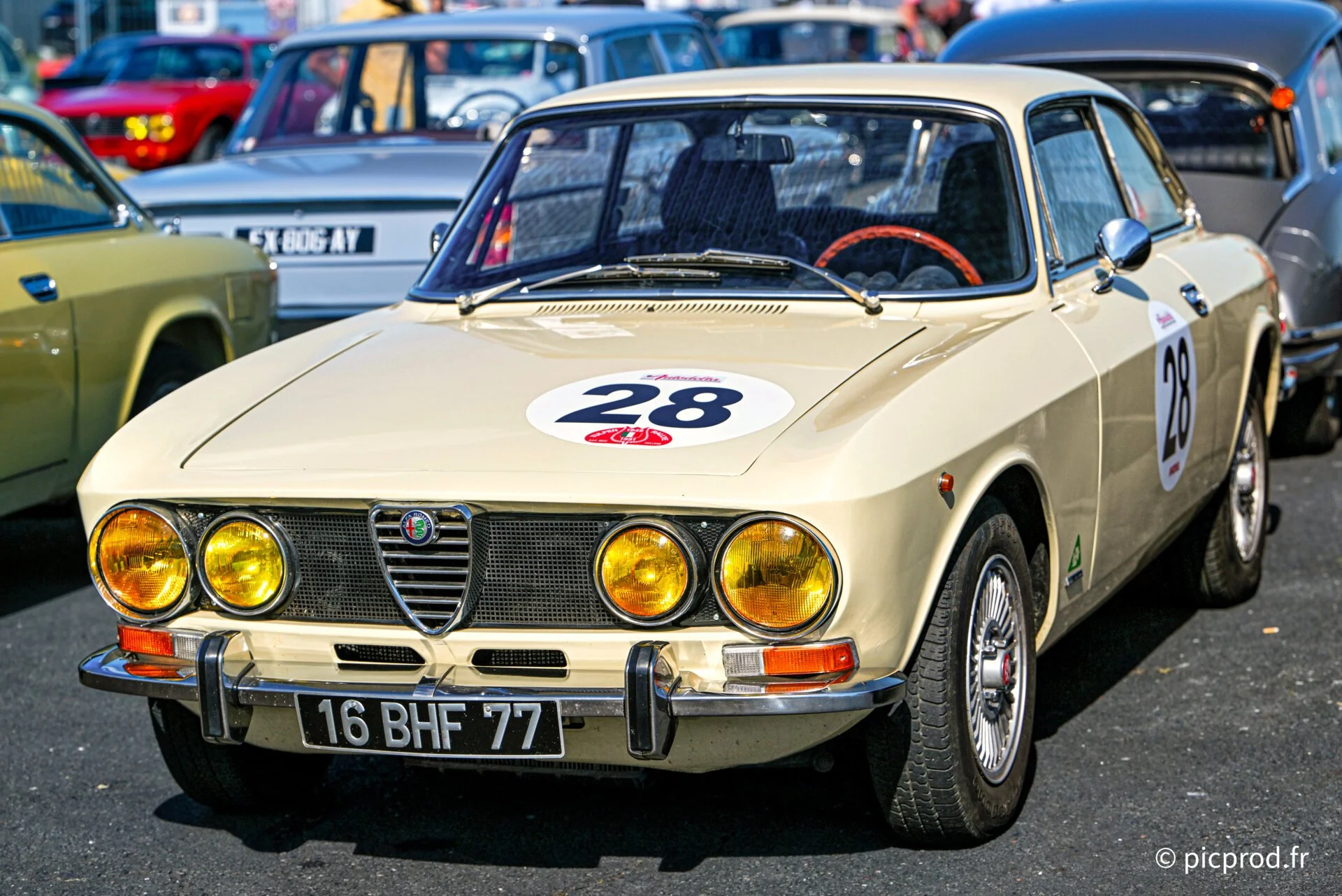 DSC_4971_DxO.jpg