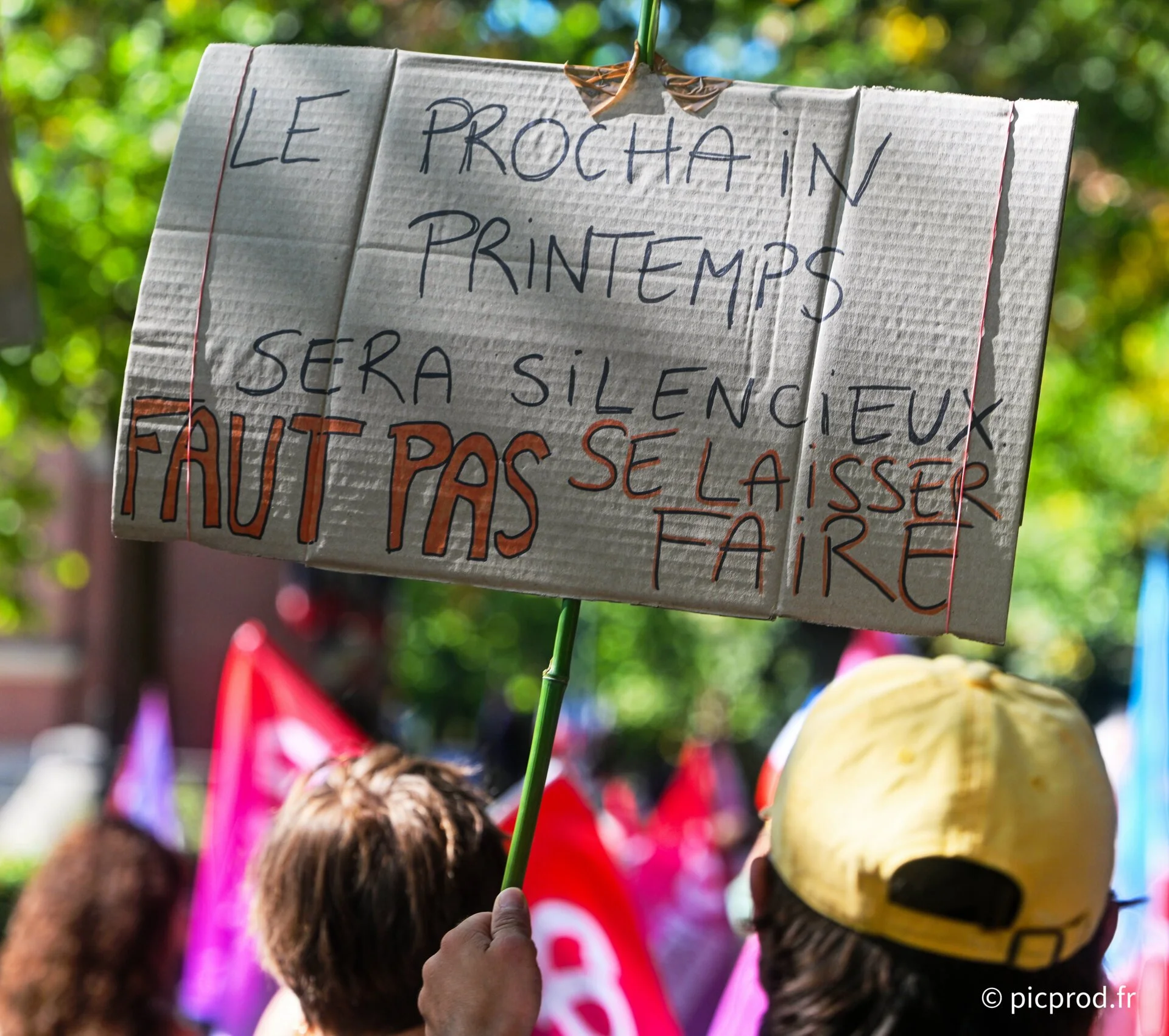 DSC_5045_DxO.jpg