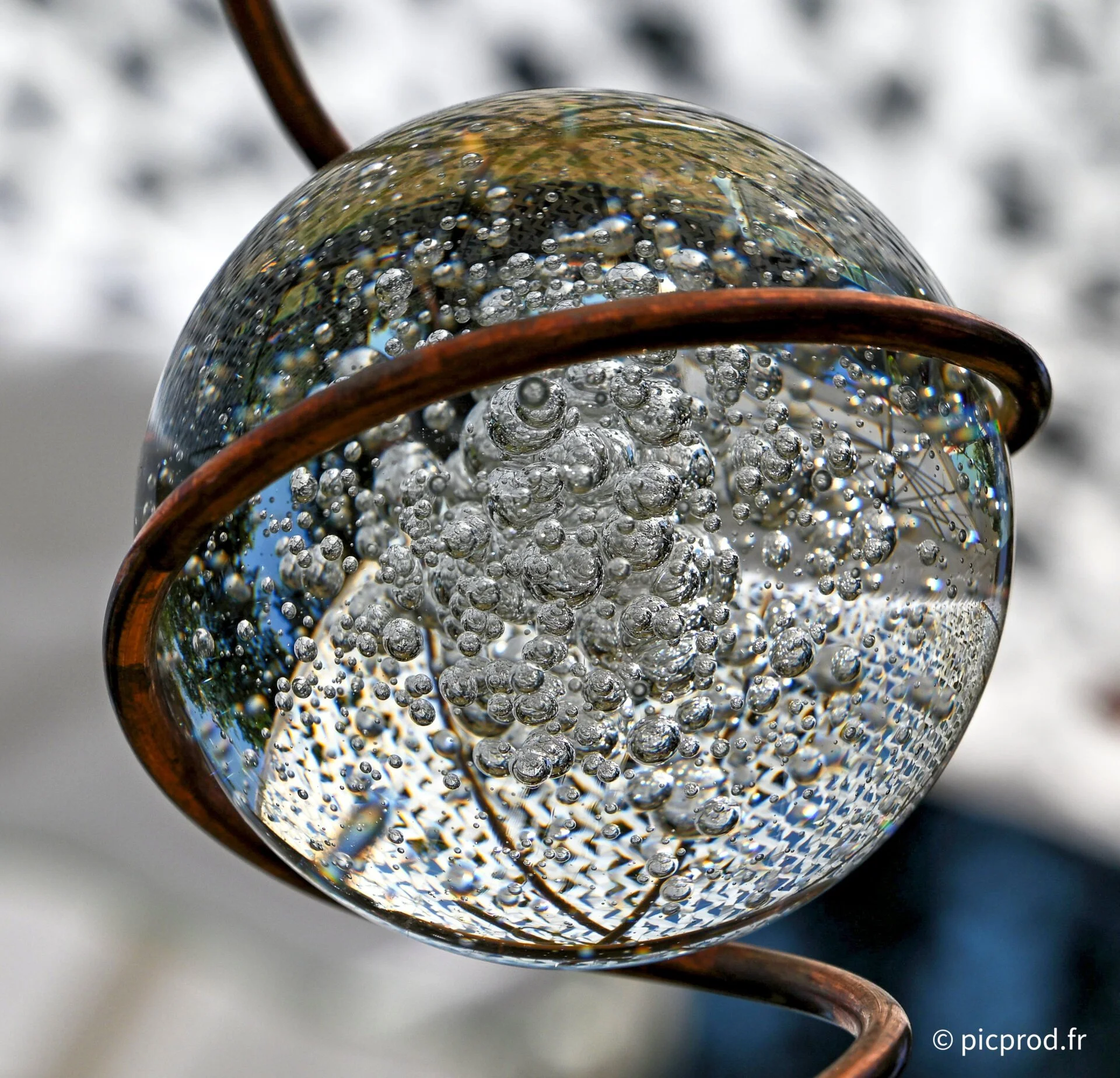DSC_6581_DxO.jpg