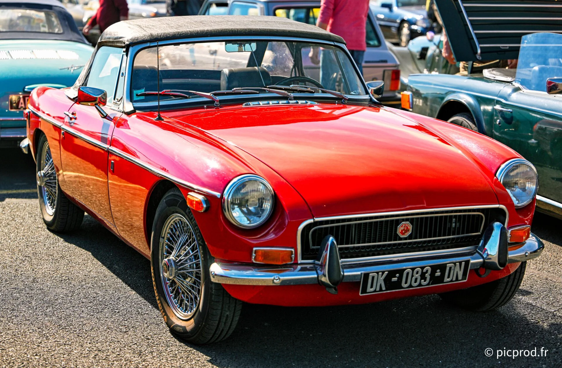 DSC_4936_DxO.jpg