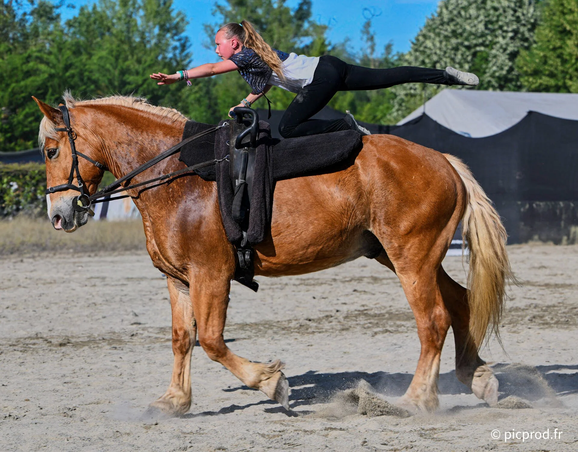 DSC_6413b.jpg