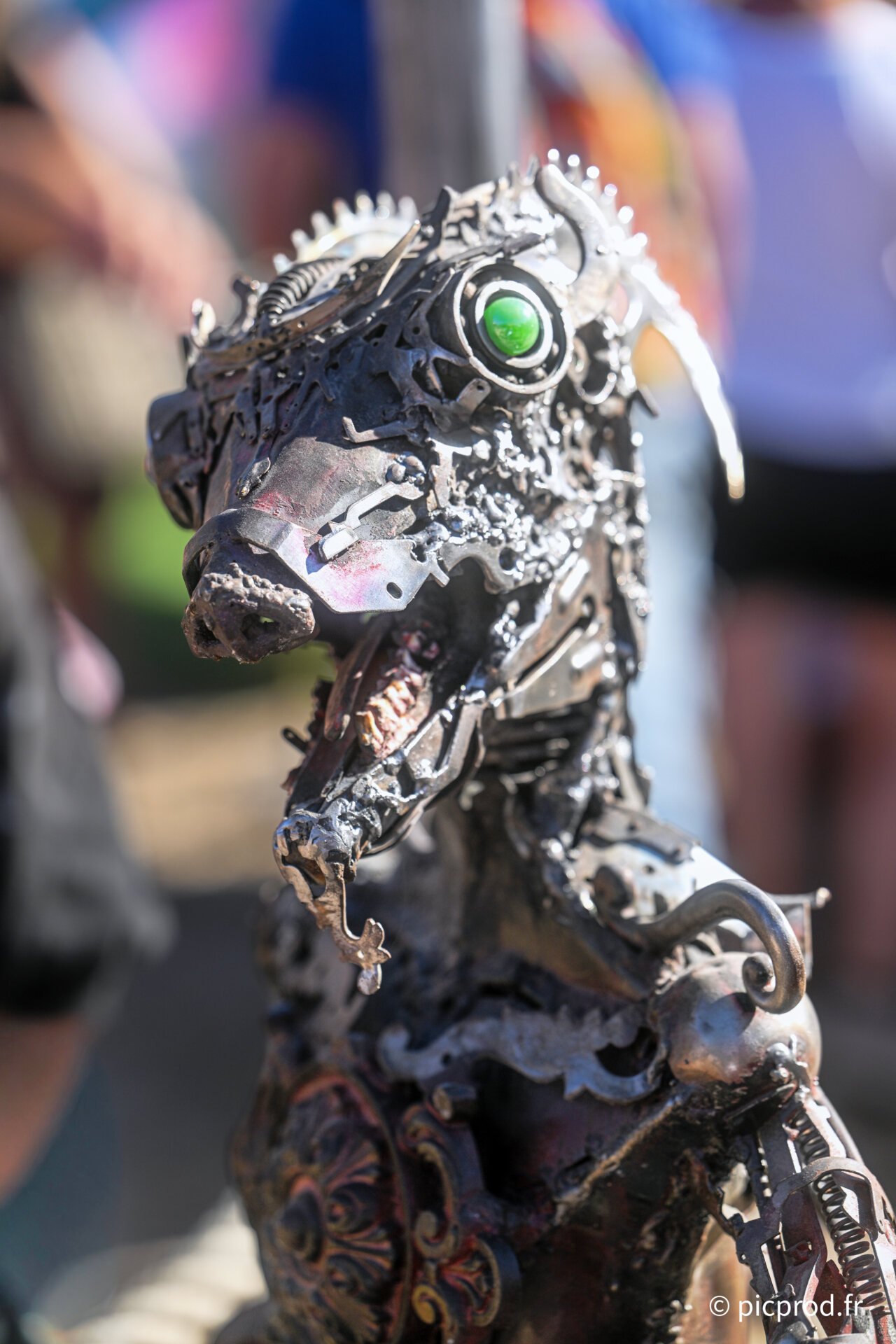 DSC_3435_DxO.jpg