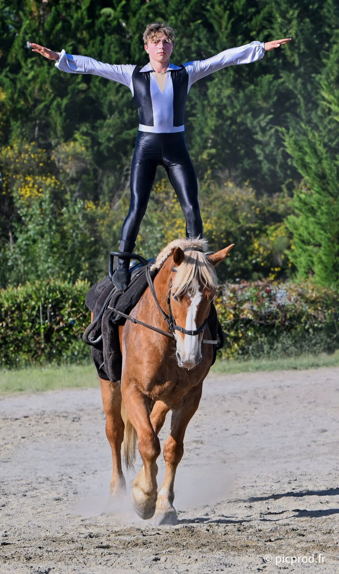 DSC_6483b 1.jpg
