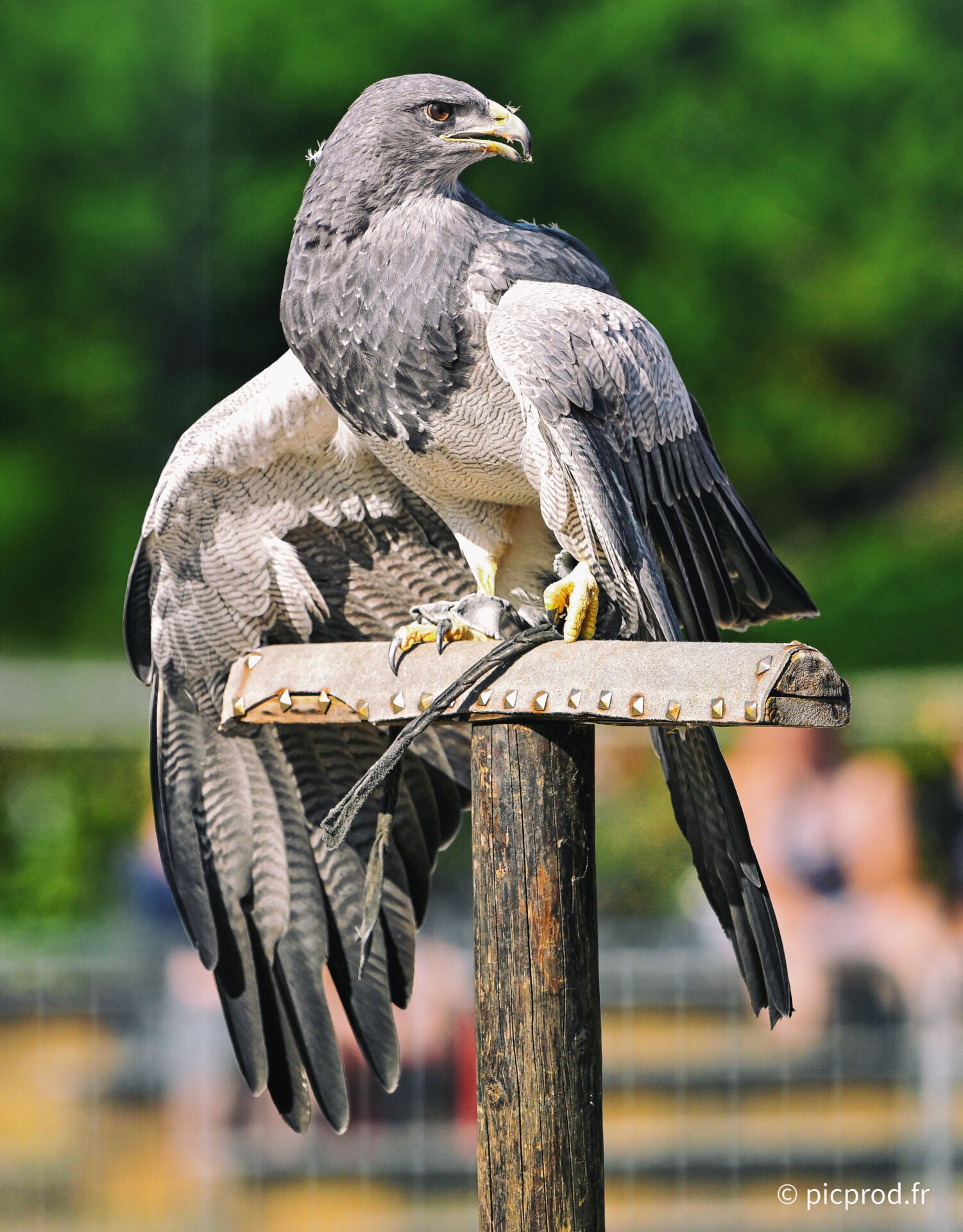 DSC_6341b.jpg