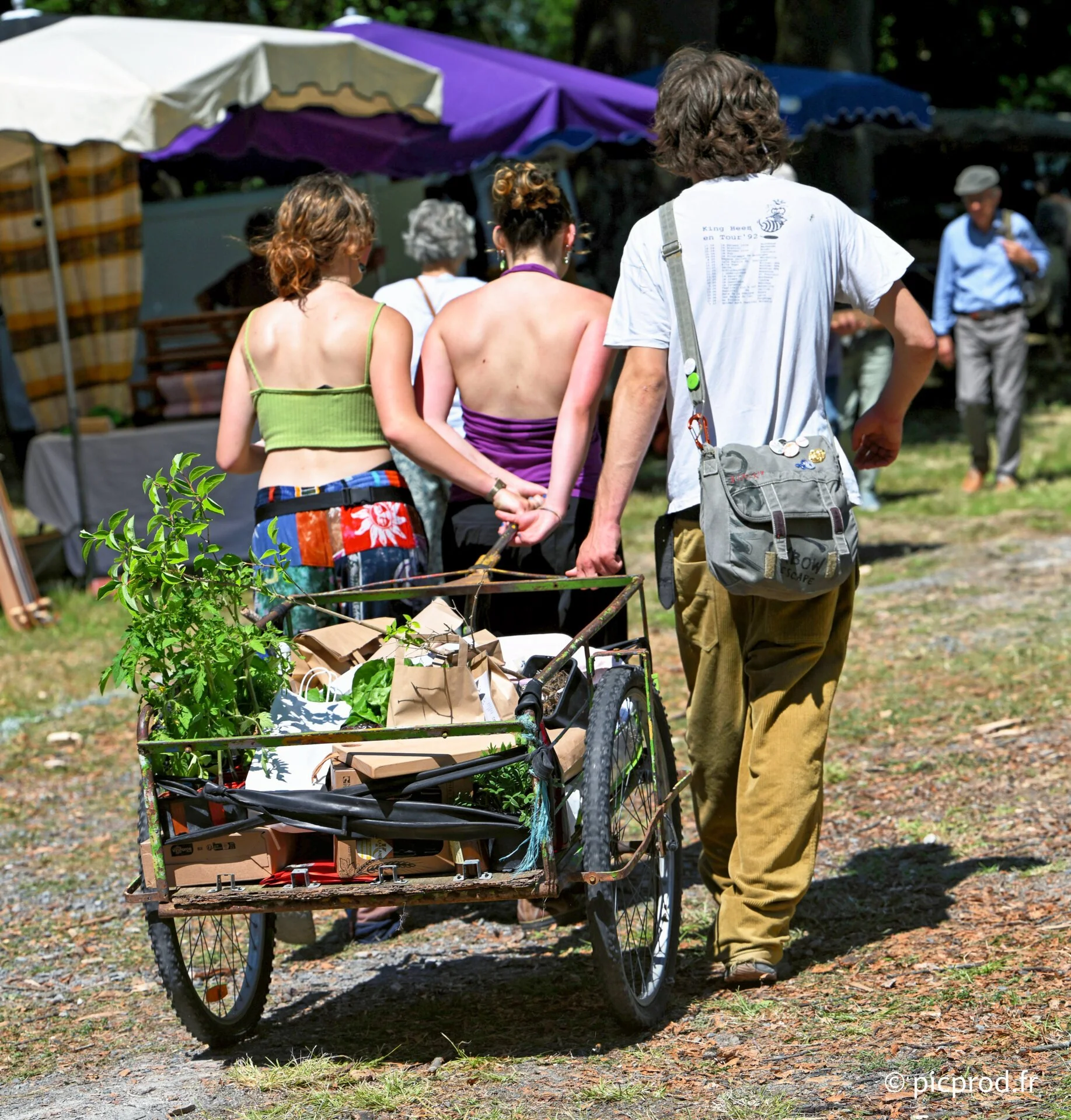 DSC_6585_DxO.jpg