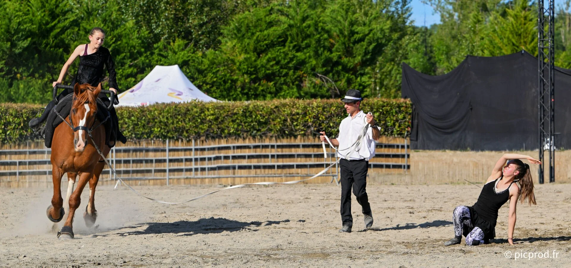 DSC_6421b 1.jpg