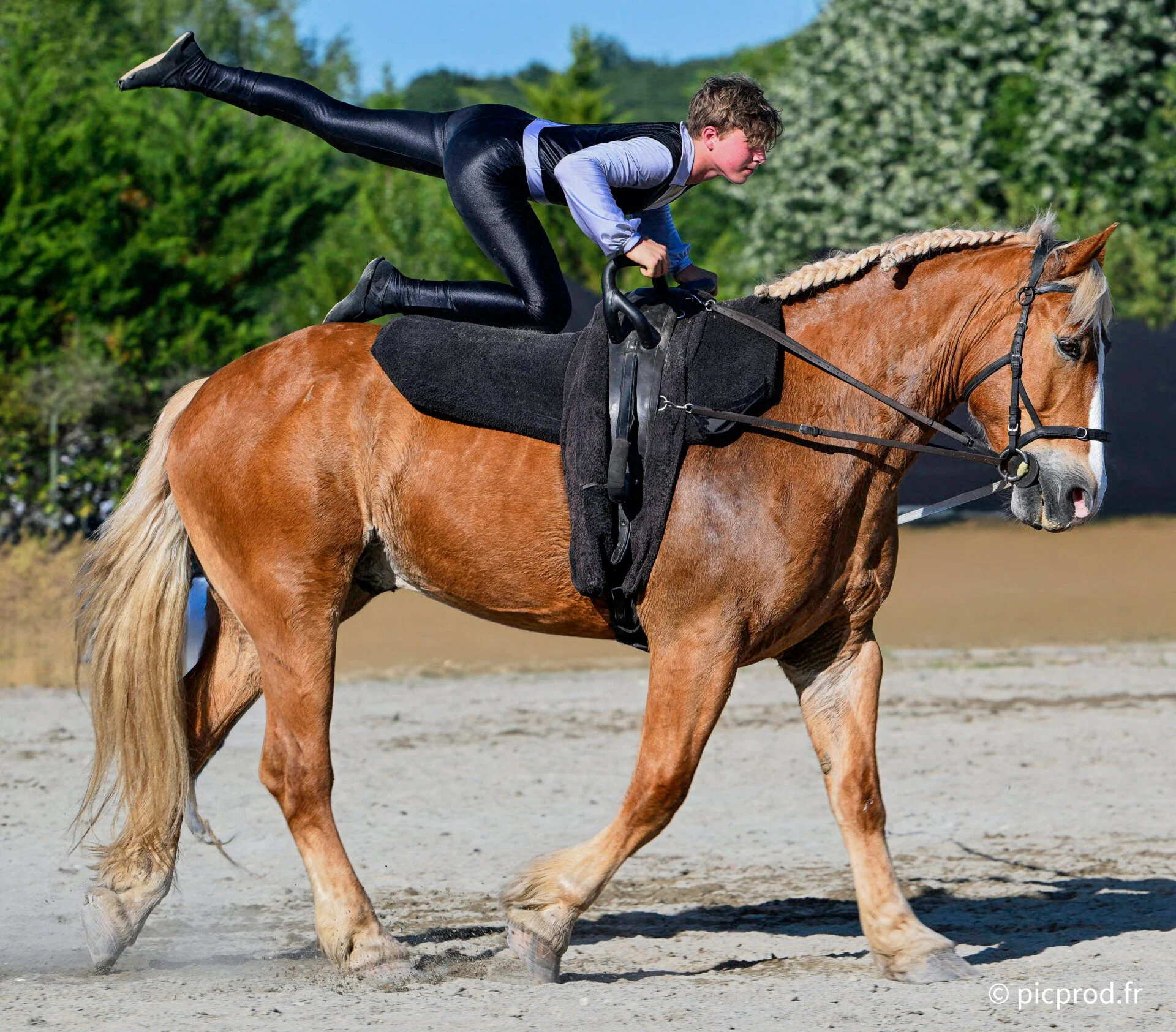 DSC_6497c 1.jpg