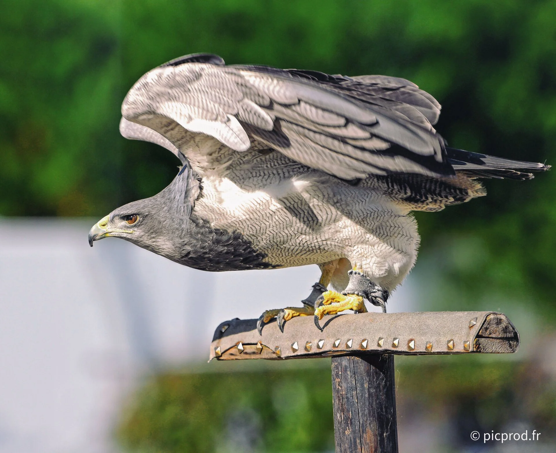DSC_6328b.jpg