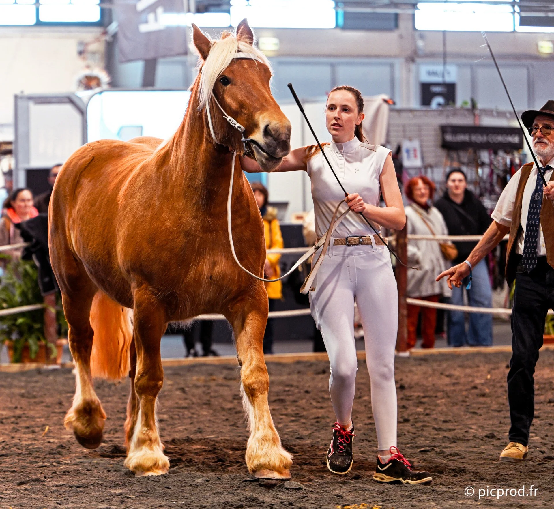 DSC_0190_DxO.jpg