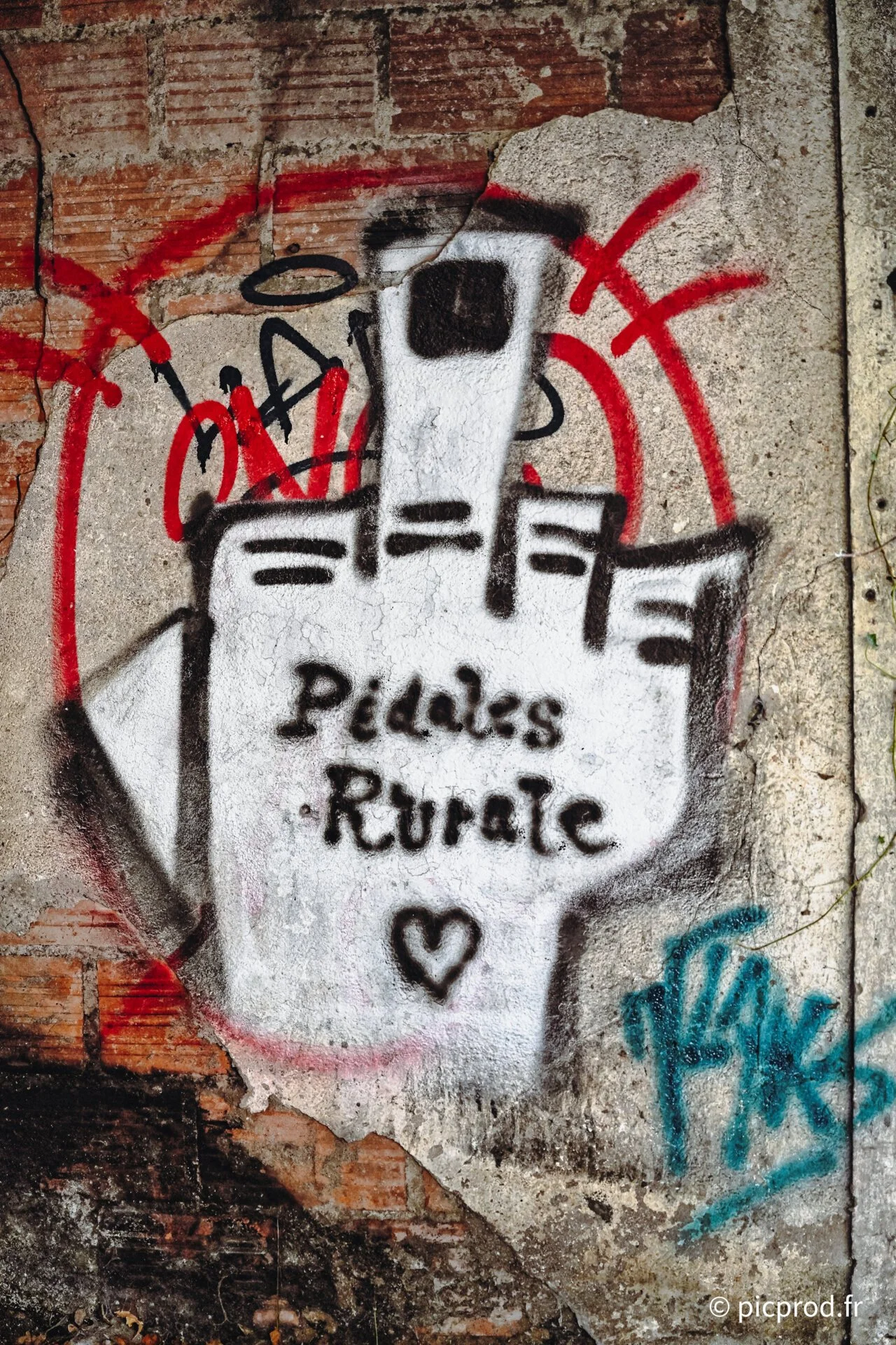 DSC_9748_DxO.jpg