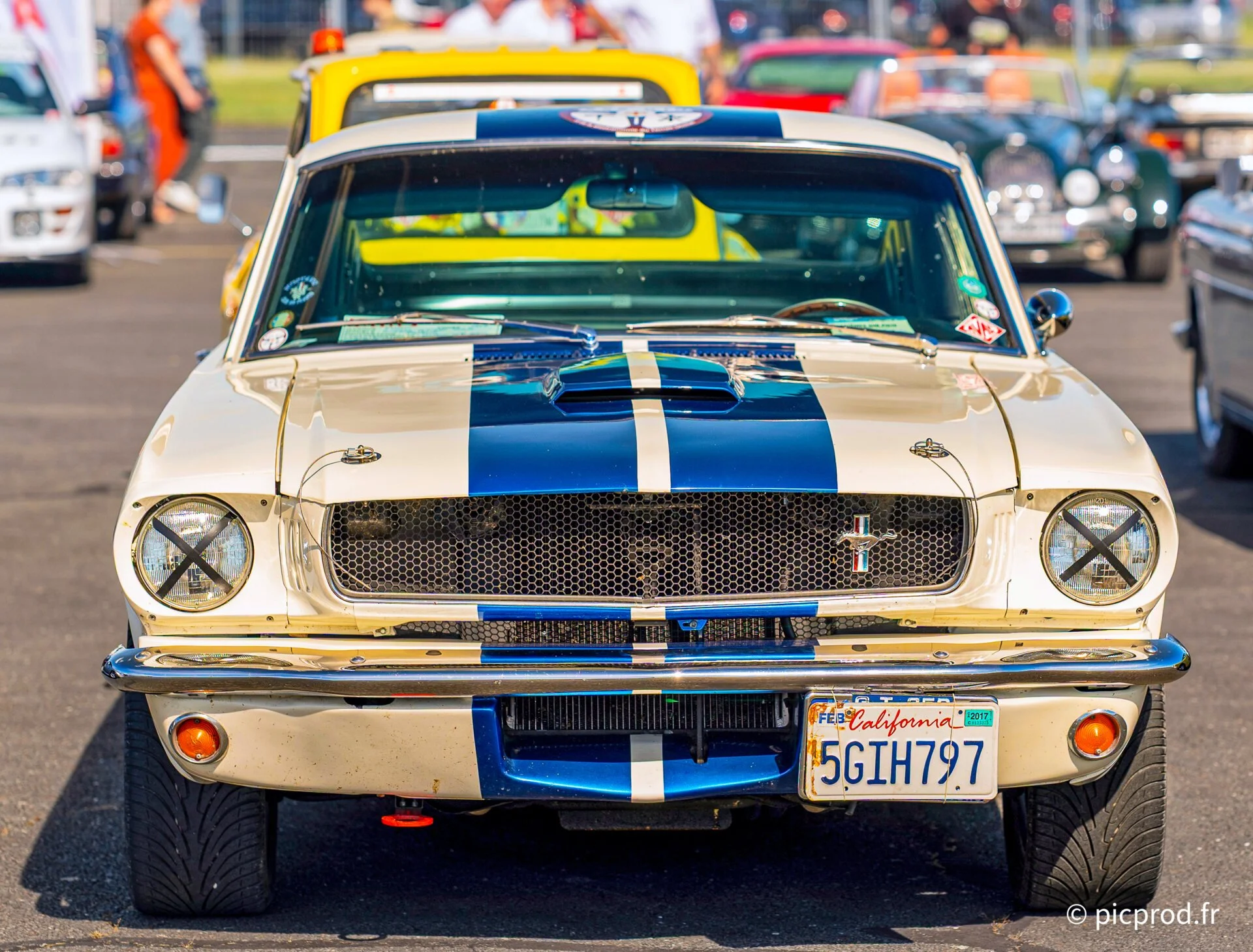 L1002816_DxO.jpg