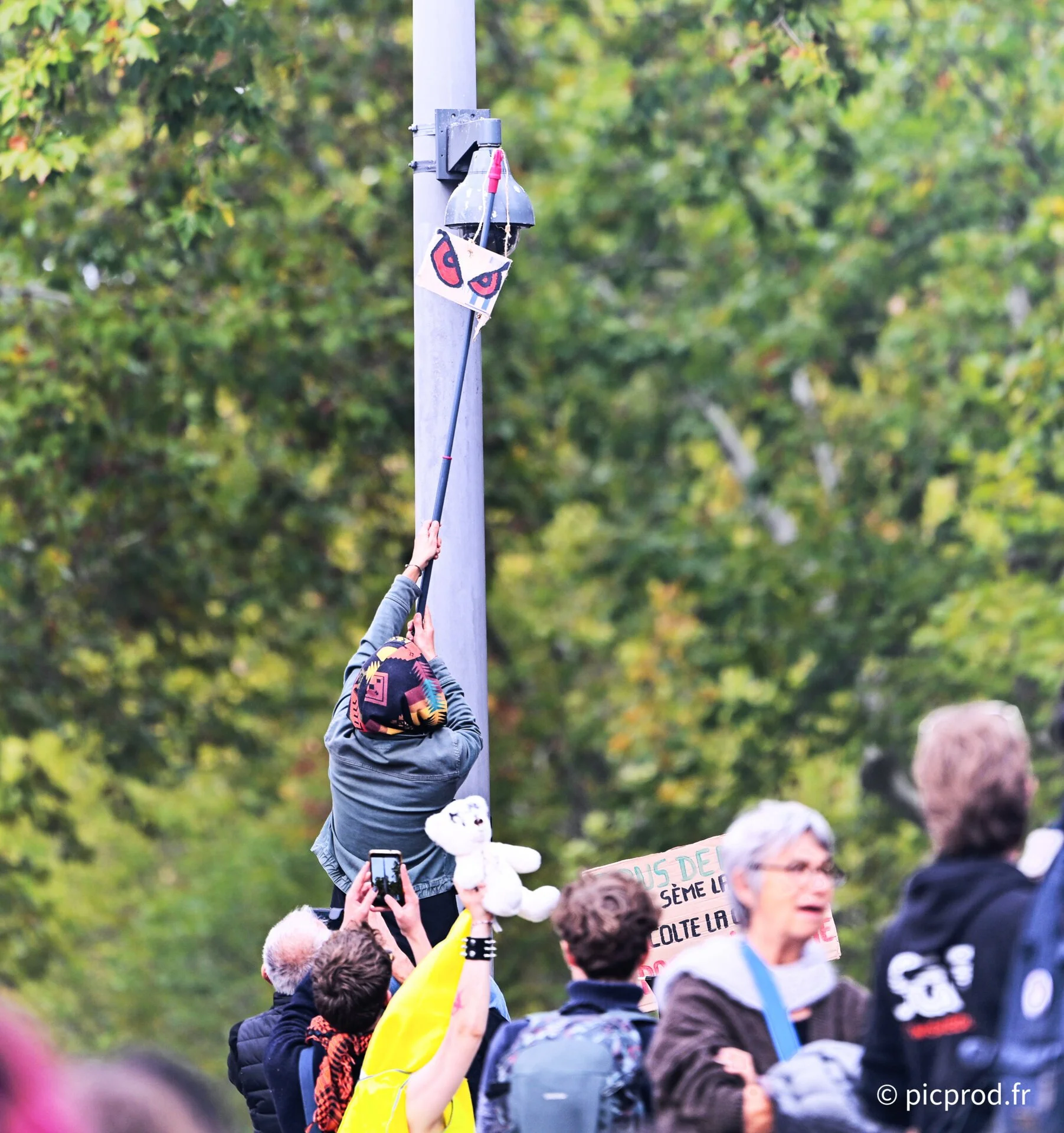 DSC_7239_DxO.jpg