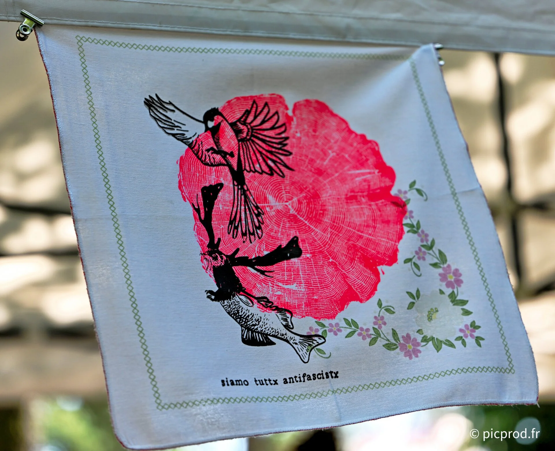 DSC_6600_DxO.jpg