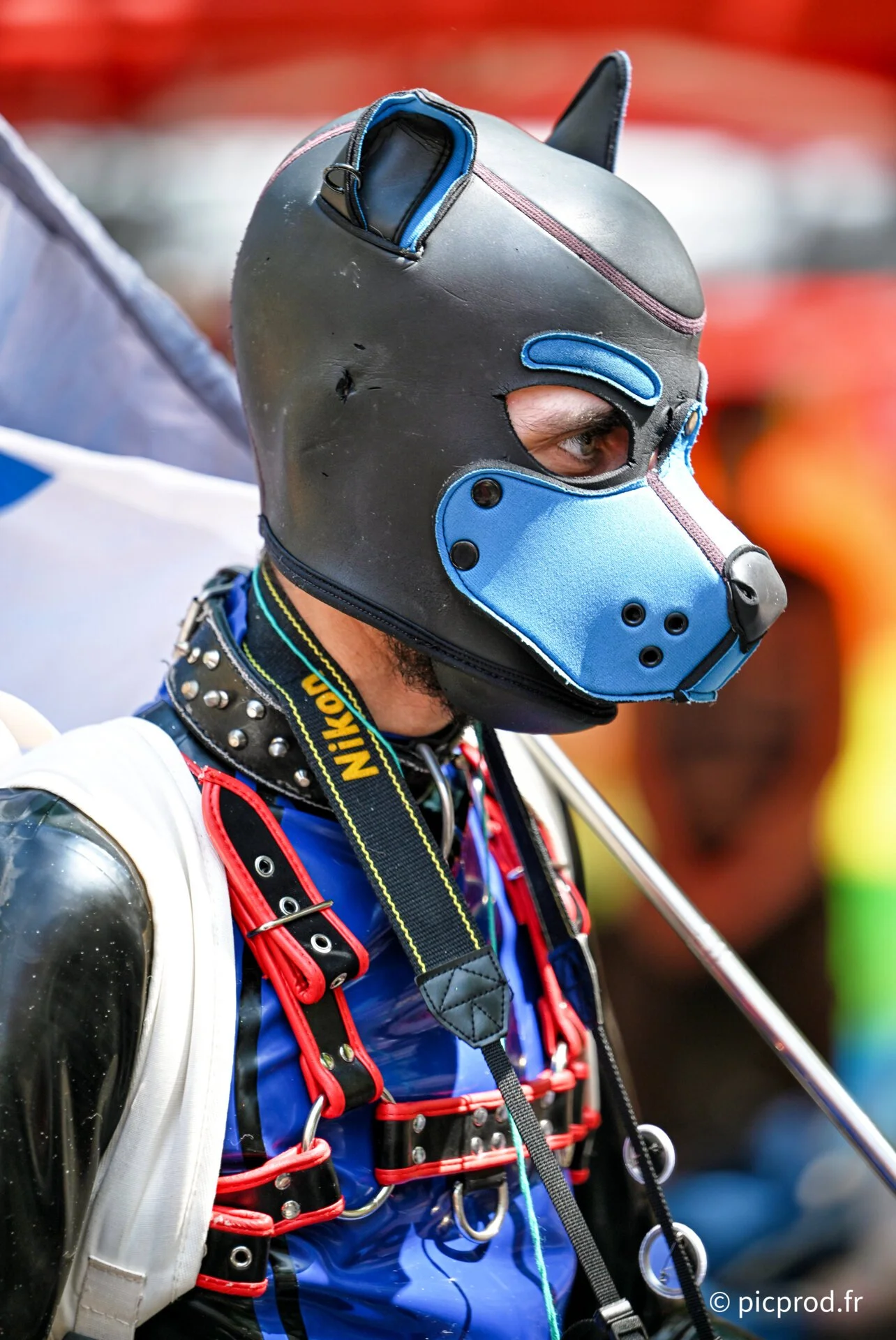 Marche des fiertés, Rodez 2026, LGBTQIA+