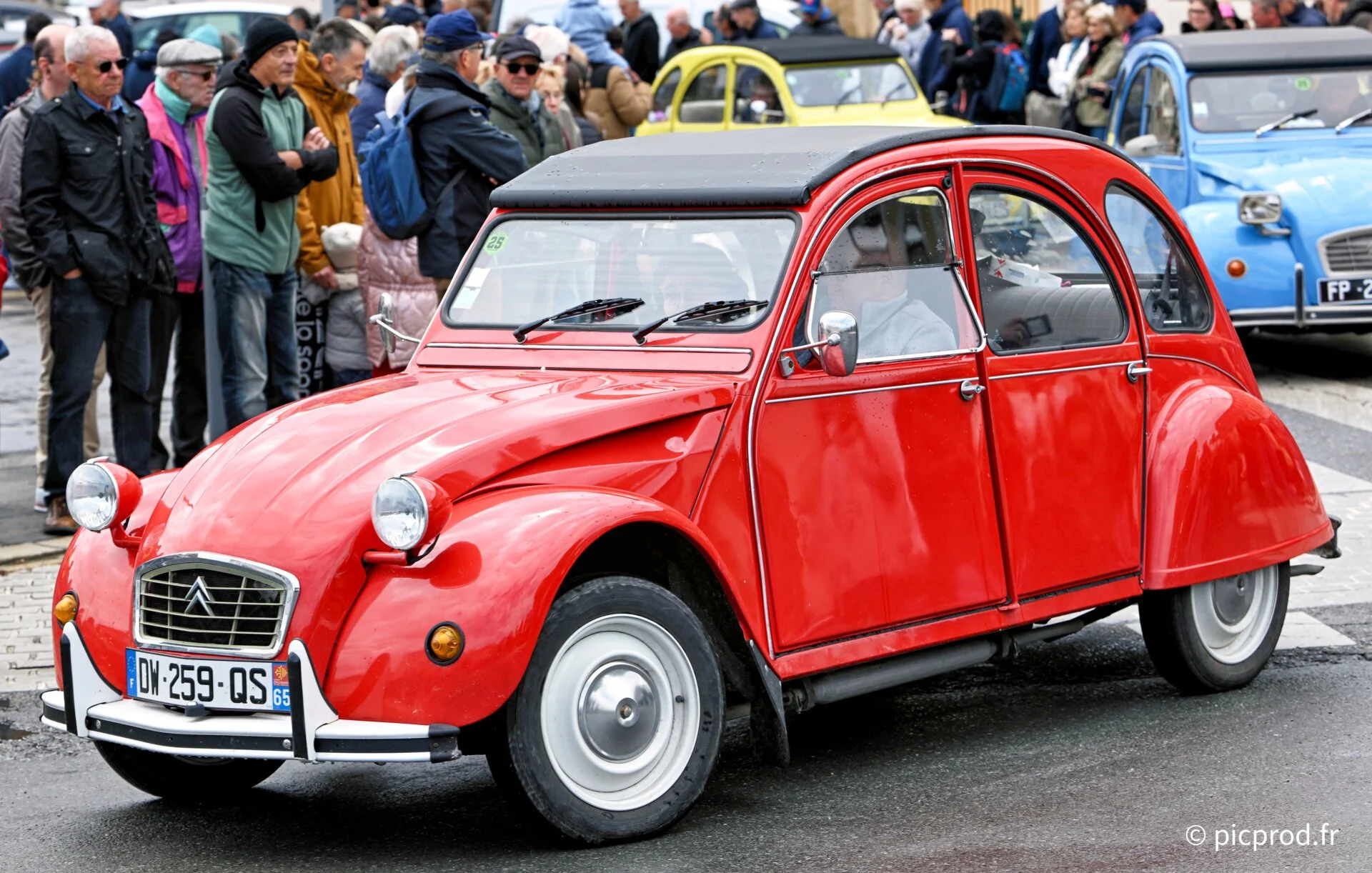 DSC_5133.jpg
