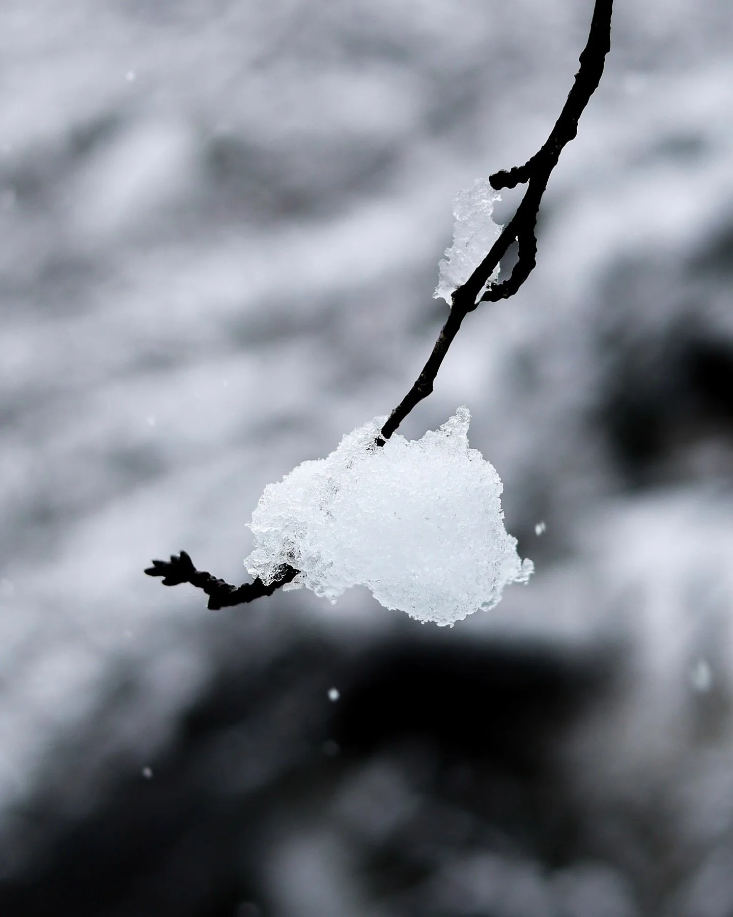 _
⁡
Fleeting winter
⁡
見上げた空に溶かして
空っぽになって
心許ない風がそよぐ
⁡
やわらかな白が広がって
まぶたの奥で眺めて
透き通る先に光が泳ぐ。
⁡
⁡
⁡
#beautyinthemundane 
#winter